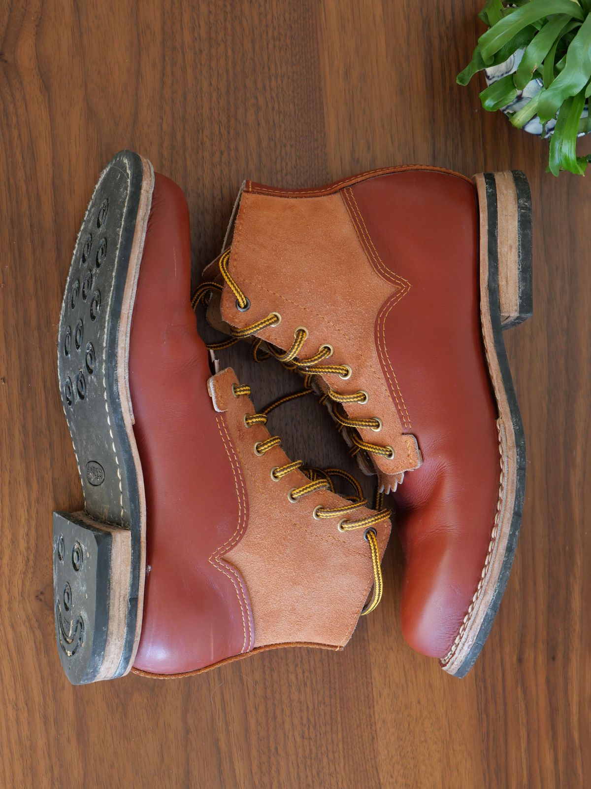 Photo by patinathunderdome on December 3, 2021 of the Self-Made in Rodbrun Chrome Tan.