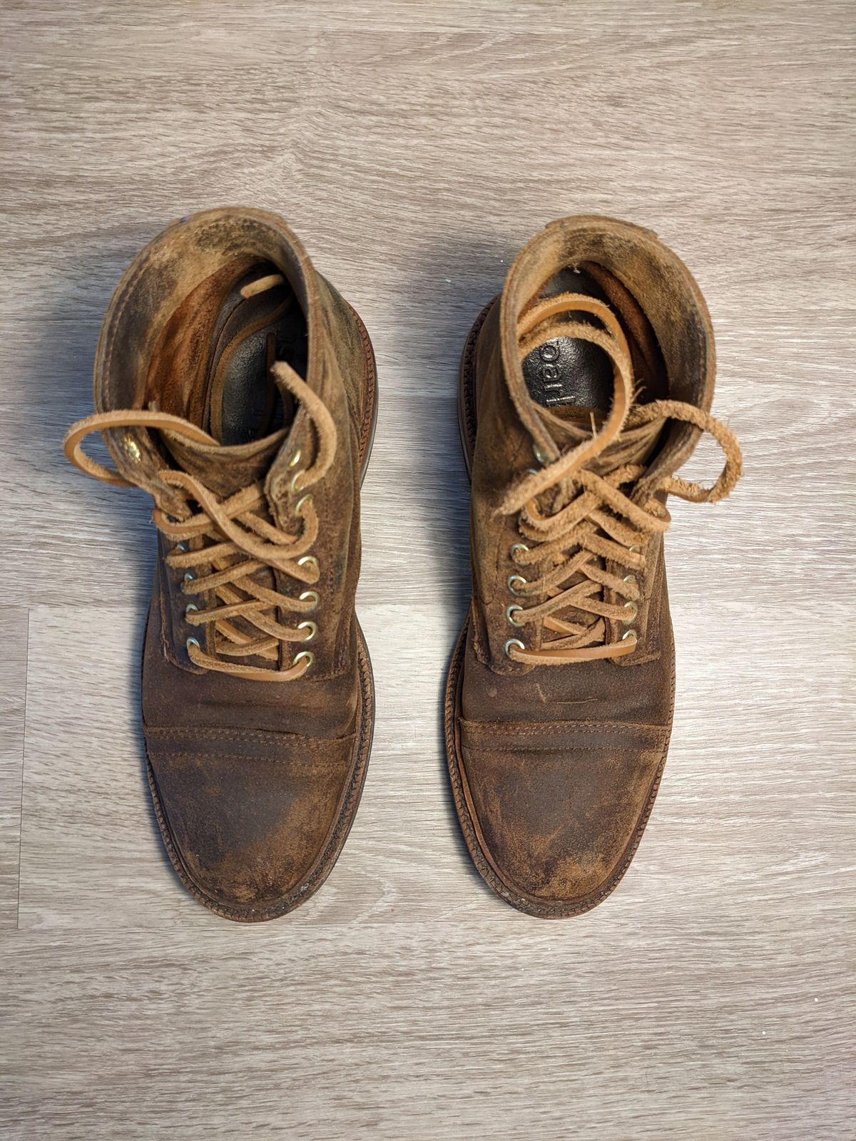 Photo by patinathunderdome on January 5, 2022 of the Parkhurst The Richmond in C.F. Stead Wheatbuck Waxy Commander Suede.