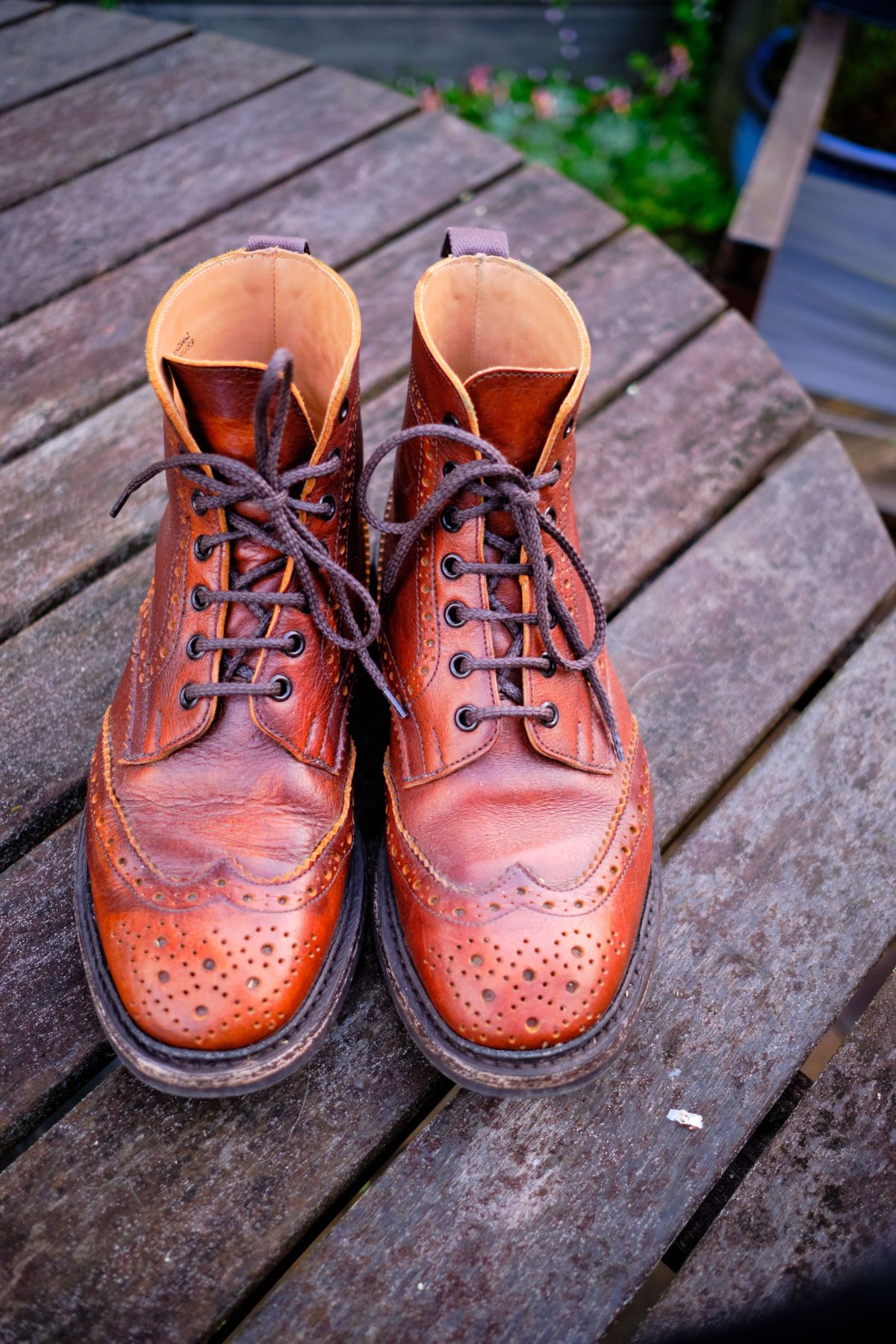Photo by patinathunderdome on November 6, 2021 of the Tricker's Stow Country Boot in C.F. Stead Caramel Classic Kudu.