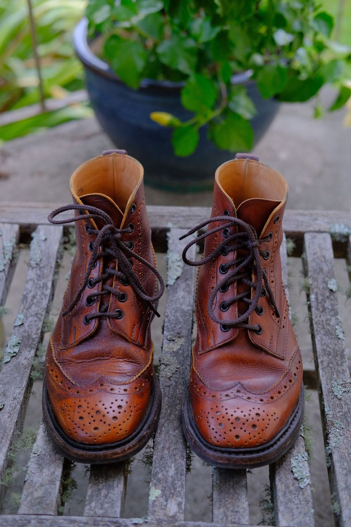 Photo by patinathunderdome on March 5, 2022 of the Tricker's Stow Country Boot in C.F. Stead Caramel Classic Kudu.