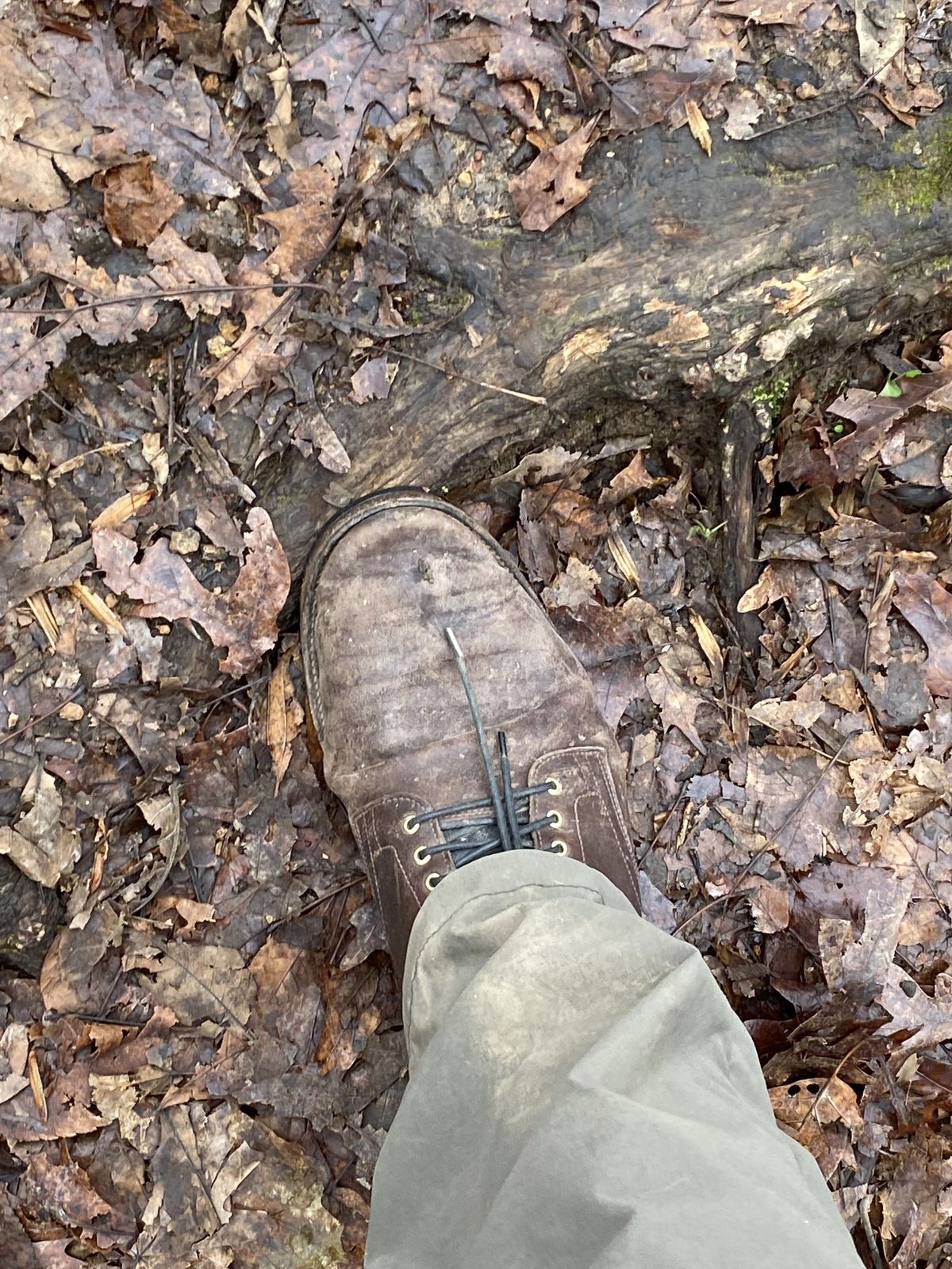 Photo by patinathunderdome on January 1, 2022 of the Viberg Service Boot in Washed Horsehide (Miloh Shop).