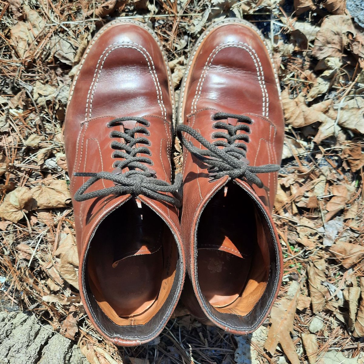 Photo by patinathunderdome on March 5, 2022 of the Alden Indy Boot in Horween Mahogany Legacy.