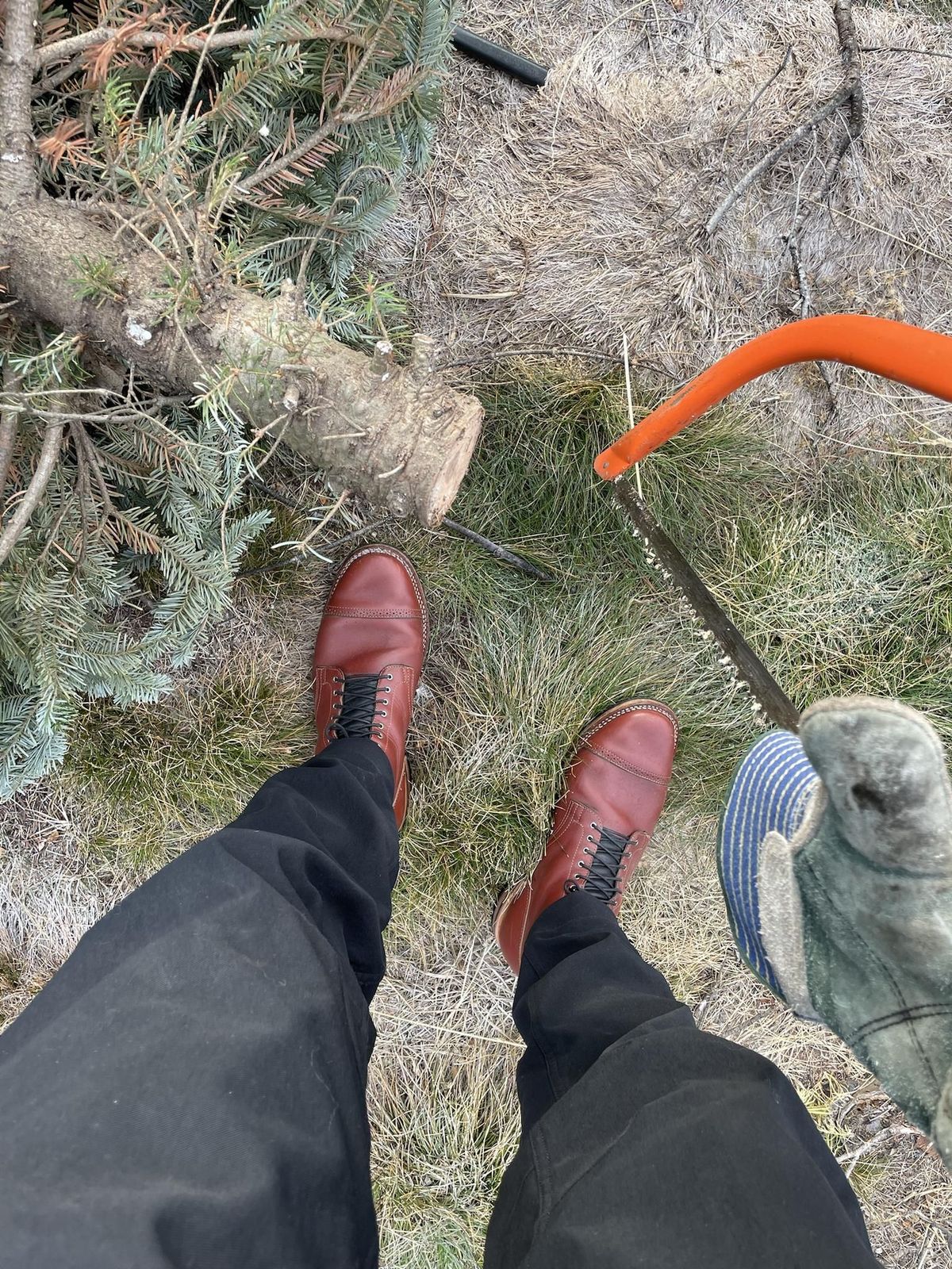 Photo by patinathunderdome on December 5, 2021 of the Viberg Service Boot in Horween Color 4 Workshoe Butt.