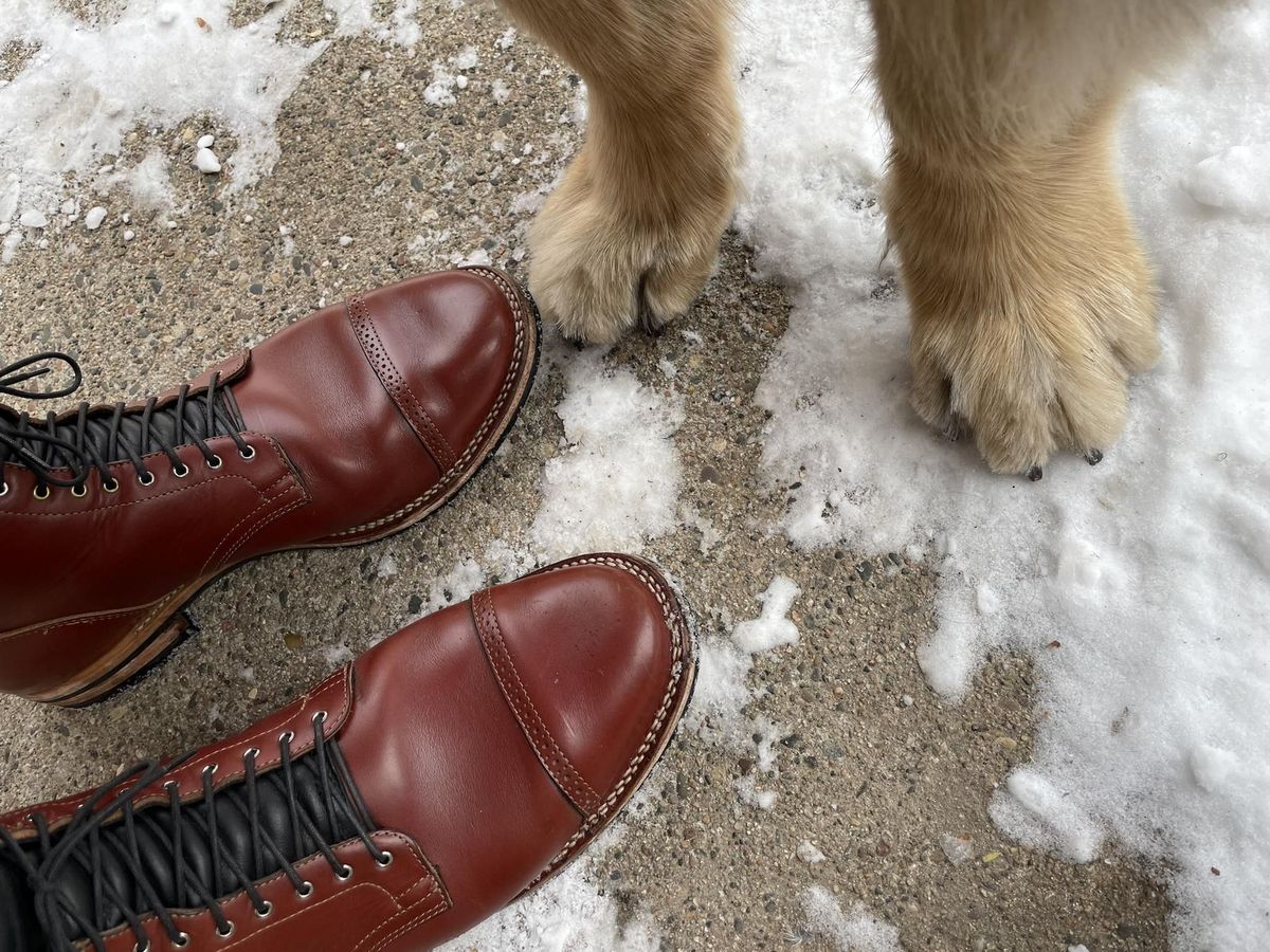 Photo by patinathunderdome on January 4, 2022 of the Viberg Service Boot in Horween Color 4 Workshoe Butt.