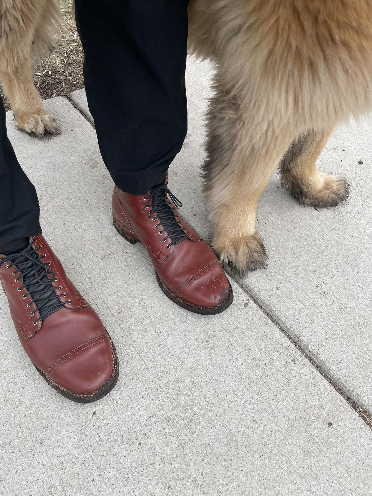 Photo by patinathunderdome on April 3, 2022 of the Viberg Service Boot in Horween Color 4 Workshoe Butt.