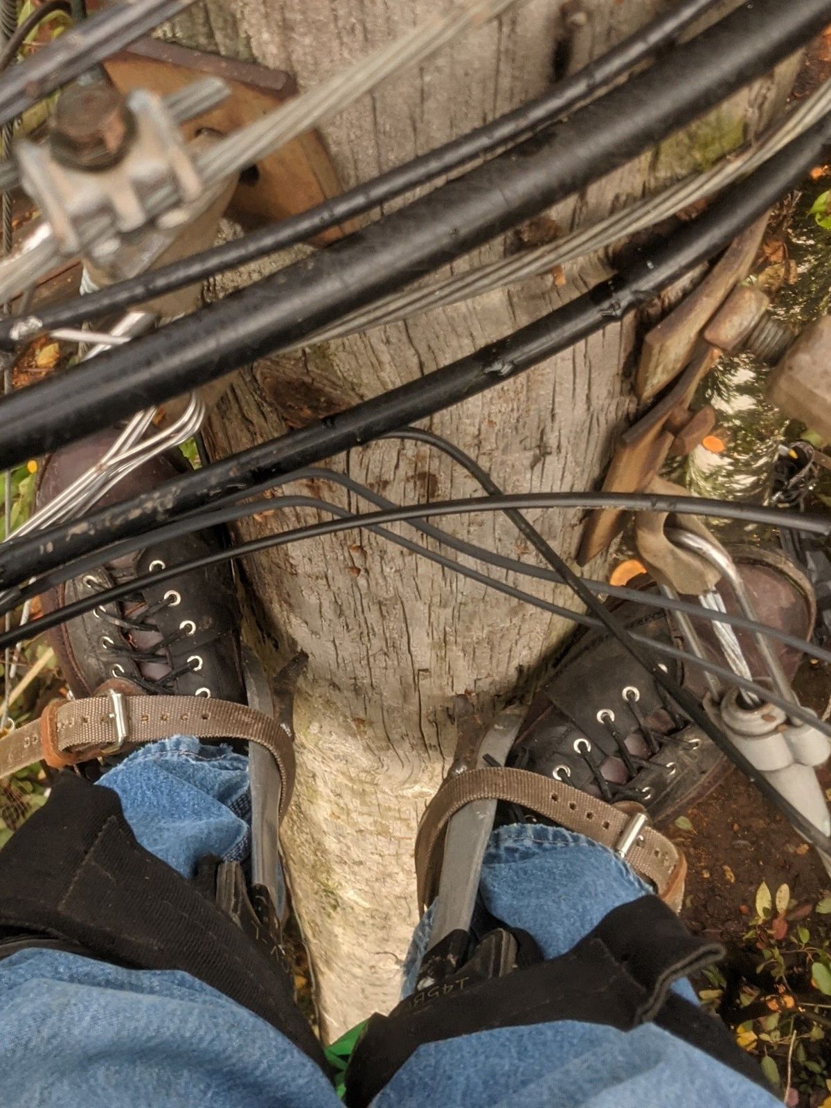 Photo by patinathunderdome on November 3, 2021 of the Txture Sanity Boots in Indonesian Red Wine Pull Up.