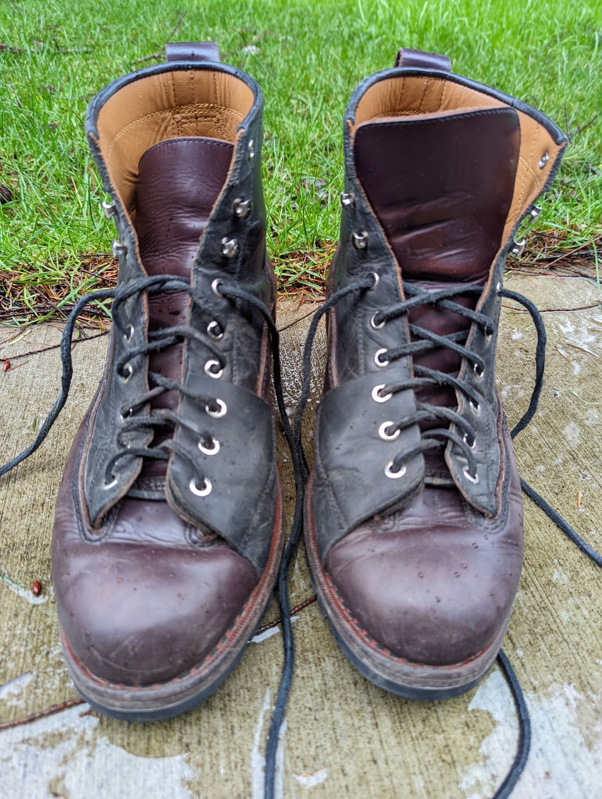 Photo by patinathunderdome on January 6, 2022 of the Txture Sanity Boots in Indonesian Red Wine Pull Up.