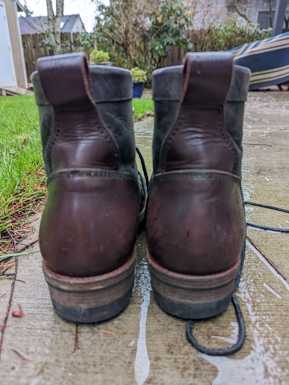 Photo by patinathunderdome on January 6, 2022 of the Txture Sanity Boots in Indonesian Red Wine Pull Up.