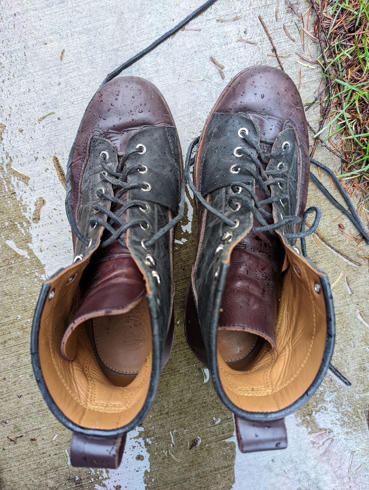 Photo by patinathunderdome on January 6, 2022 of the Txture Sanity Boots in Indonesian Red Wine Pull Up.