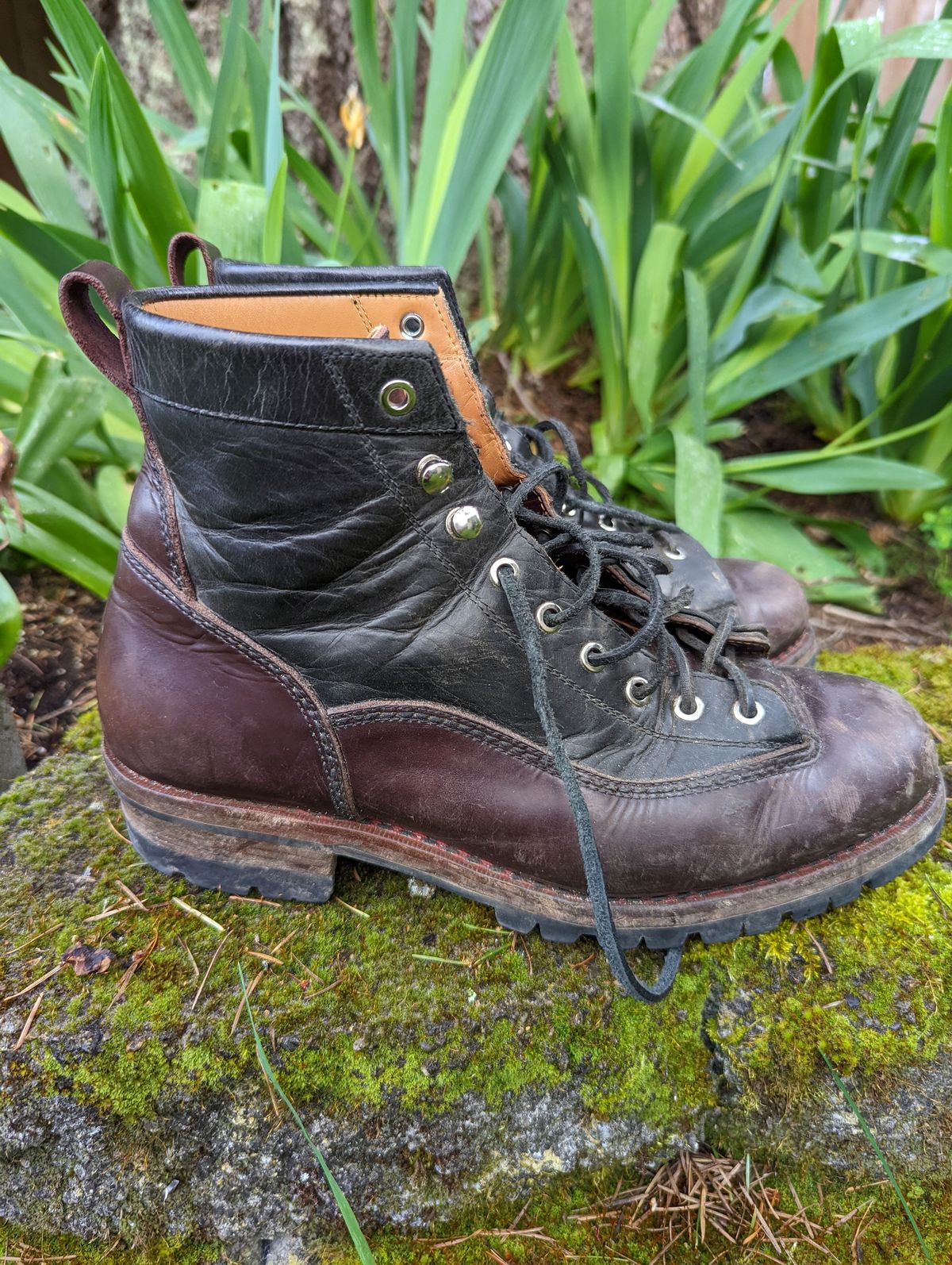 Photo by patinathunderdome on May 3, 2022 of the Txture Sanity Boots in Indonesian Red Wine Pull Up.