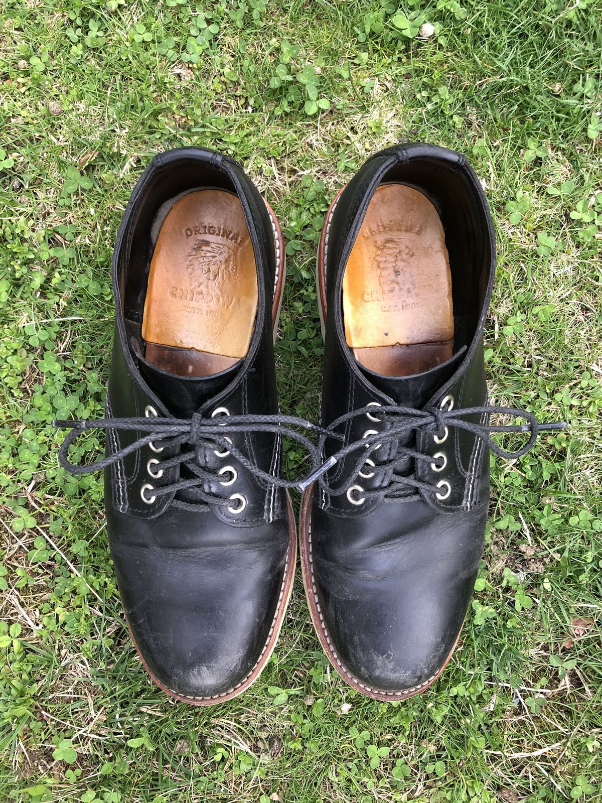 Photo by patinathunderdome on May 5, 2022 of the Chippewa Service Oxford Shoe in Black Whirlwind.