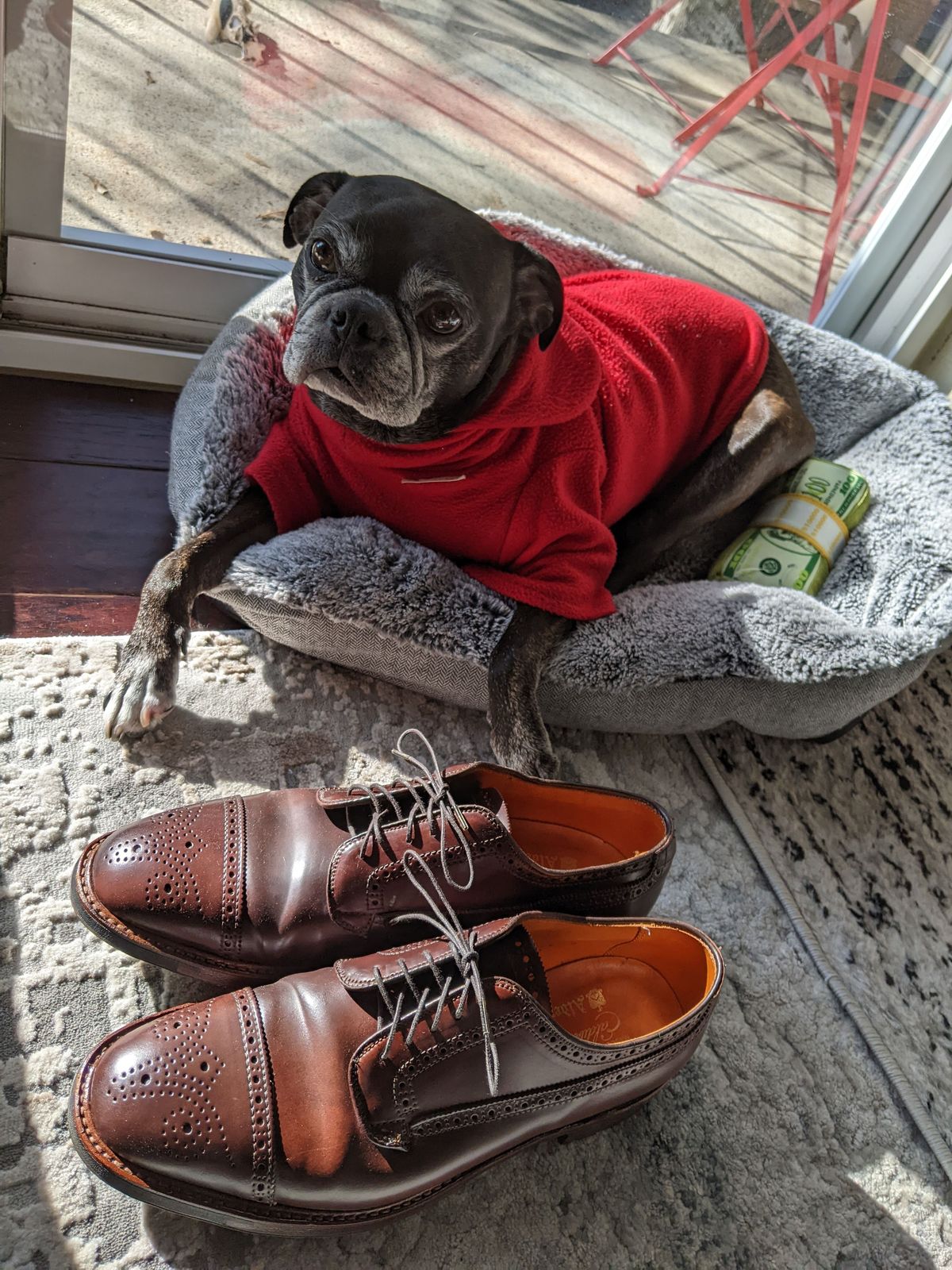 Photo by patinathunderdome on January 4, 2022 of the Alden Atom Blucher in Horween Color 8 Shell Cordovan.