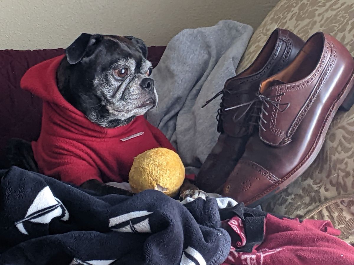 Photo by patinathunderdome on February 5, 2022 of the Alden Atom Blucher in Horween Color 8 Shell Cordovan.
