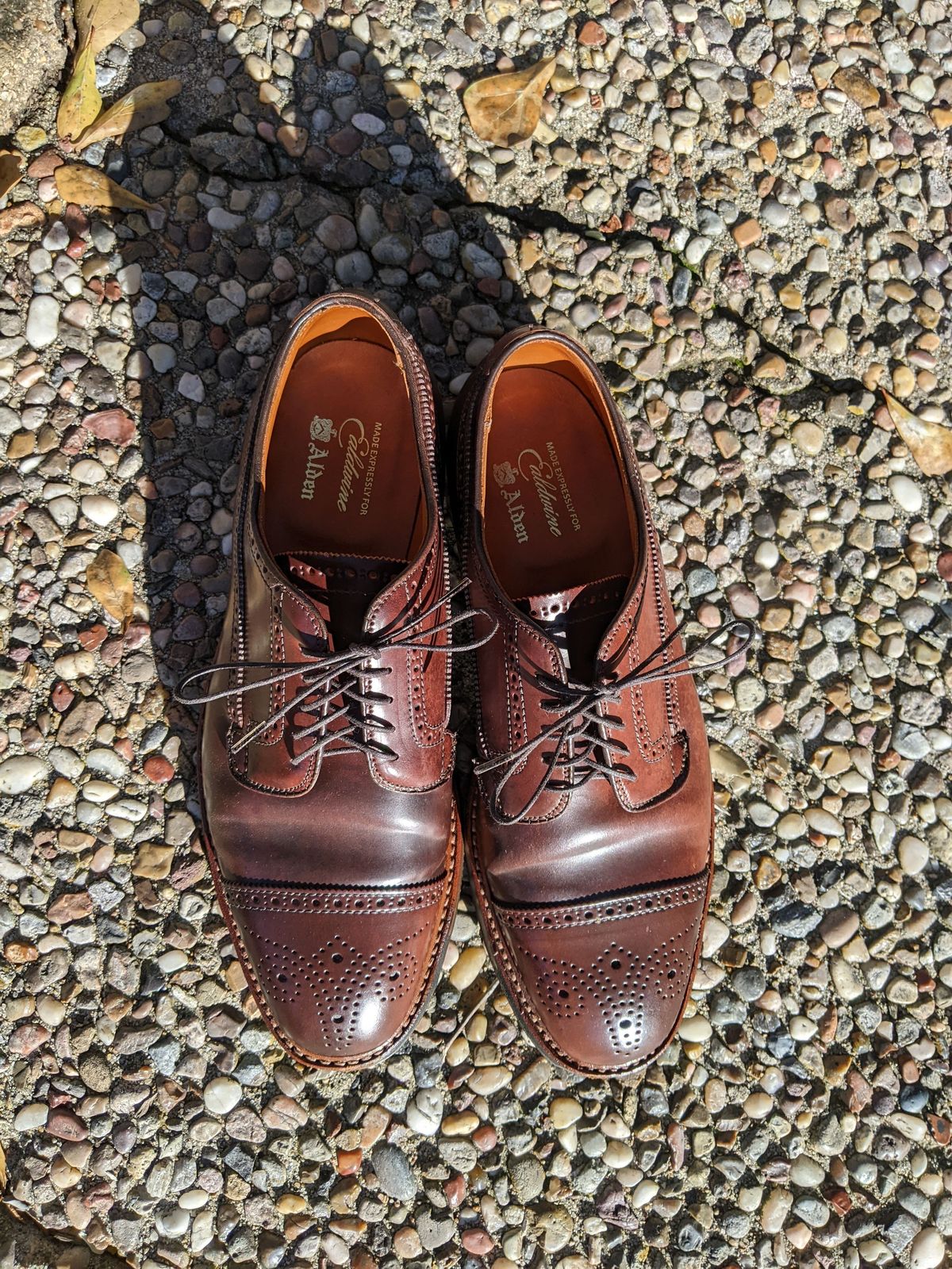 Photo by patinathunderdome on February 5, 2022 of the Alden Atom Blucher in Horween Color 8 Shell Cordovan.