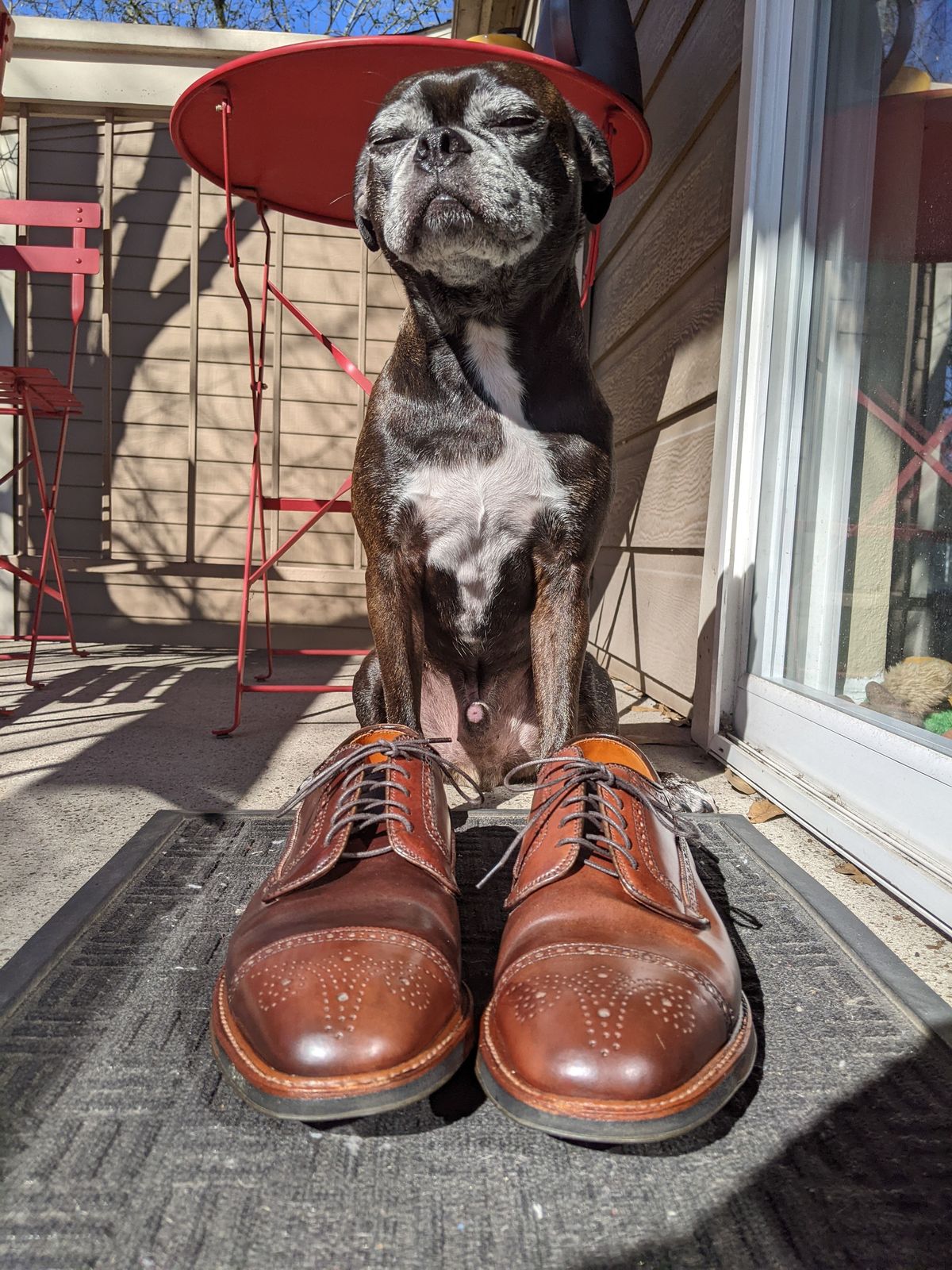 Photo by patinathunderdome on March 1, 2022 of the Alden Atom Blucher in Horween Color 8 Shell Cordovan.