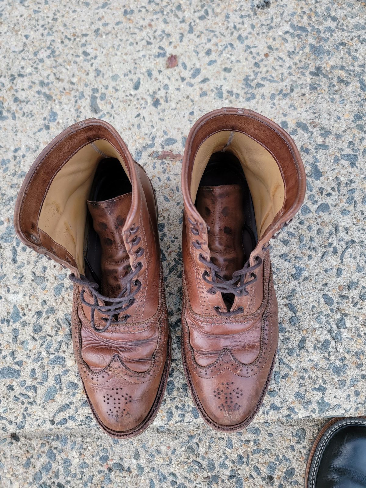Photo by patinathunderdome on December 3, 2021 of the Parkhurst The Spaulding in Horween Natural Chromexcel.