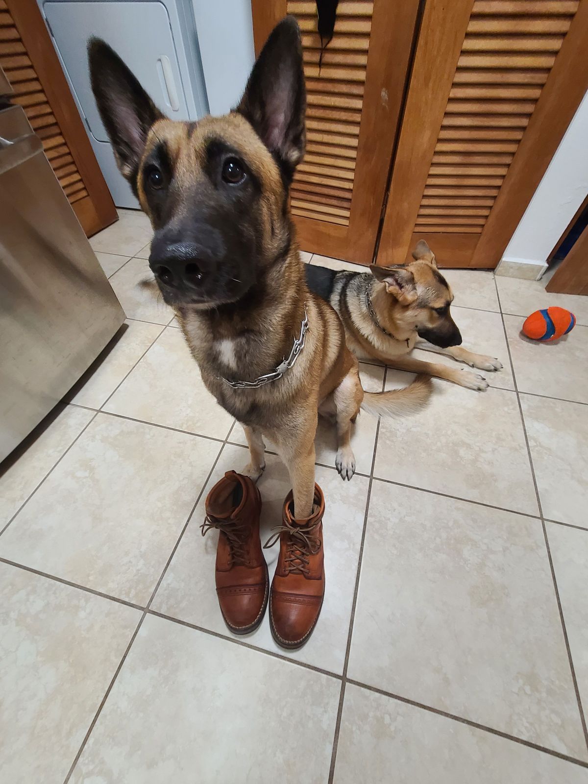 Photo by patinathunderdome on February 6, 2022 of the Wesco Hendrik in Horween Natural Essex.