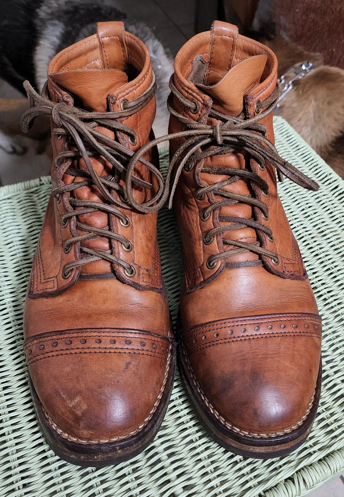 Photo by patinathunderdome on March 6, 2022 of the Wesco Hendrik in Horween Natural Essex.