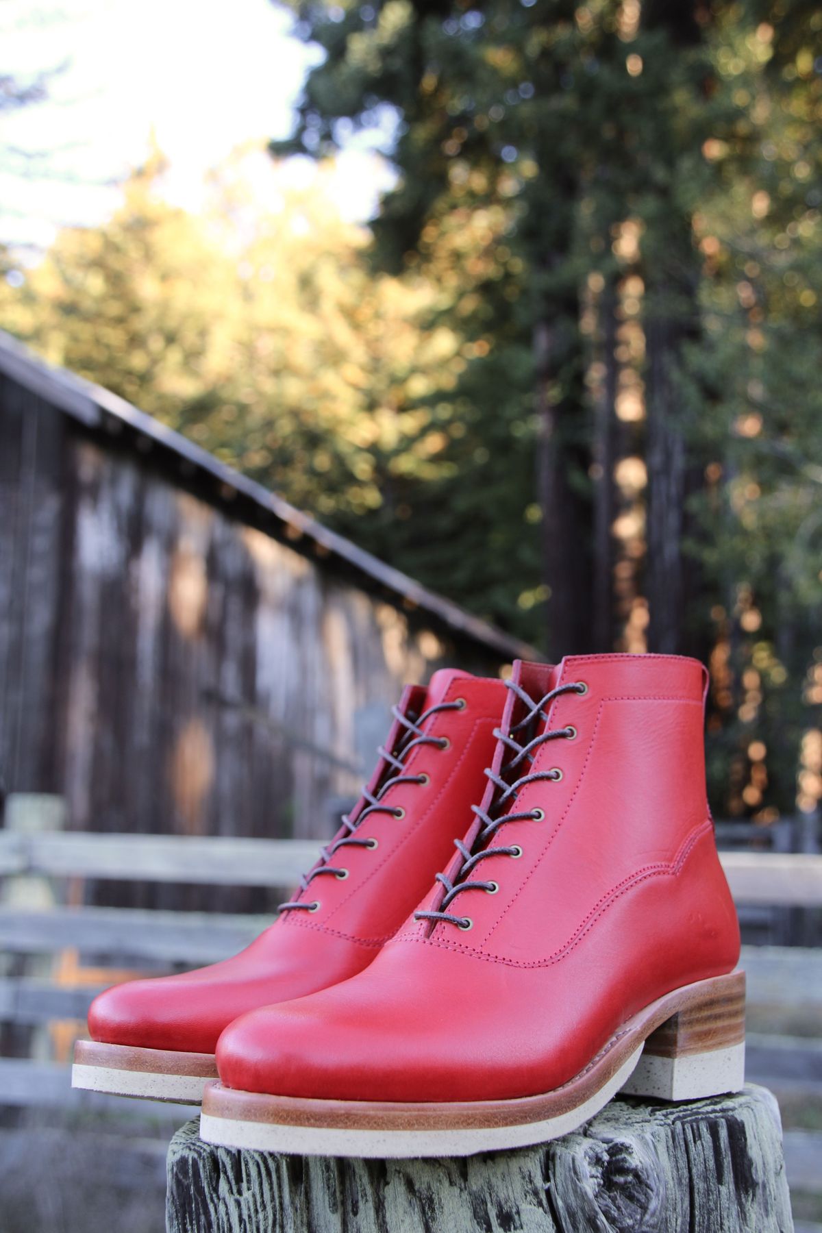 Photo by patinathunderdome on October 1, 2021 of the Maya Miel Balmoral Boot in Badalassi Carlo Red Minerva.
