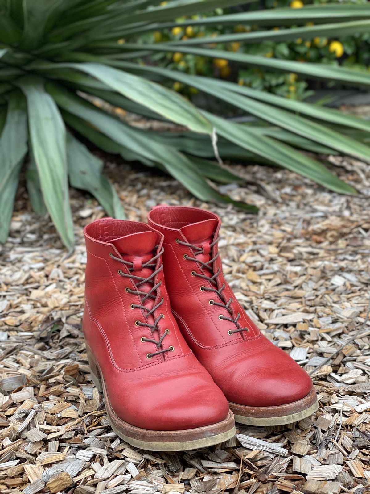Photo by patinathunderdome on December 5, 2021 of the Maya Miel Balmoral Boot in Badalassi Carlo Red Minerva.