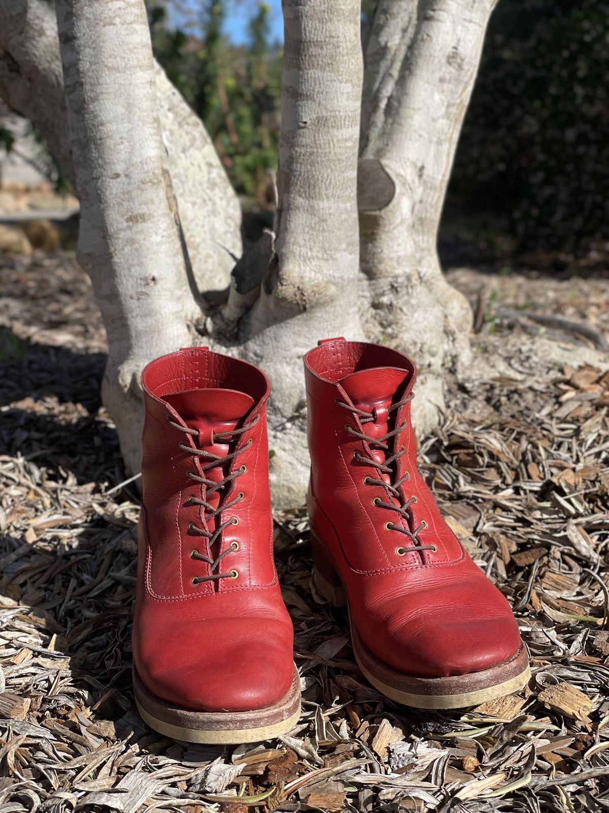 Photo by patinathunderdome on February 1, 2022 of the Maya Miel Balmoral Boot in Badalassi Carlo Red Minerva.