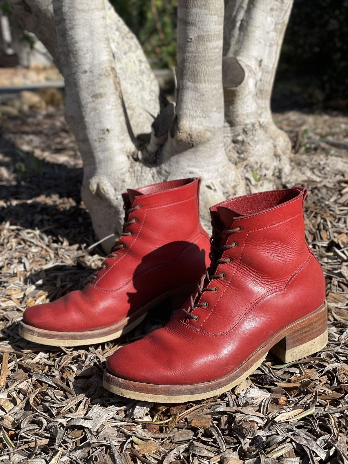 Photo by patinathunderdome on February 1, 2022 of the Maya Miel Balmoral Boot in Badalassi Carlo Red Minerva.