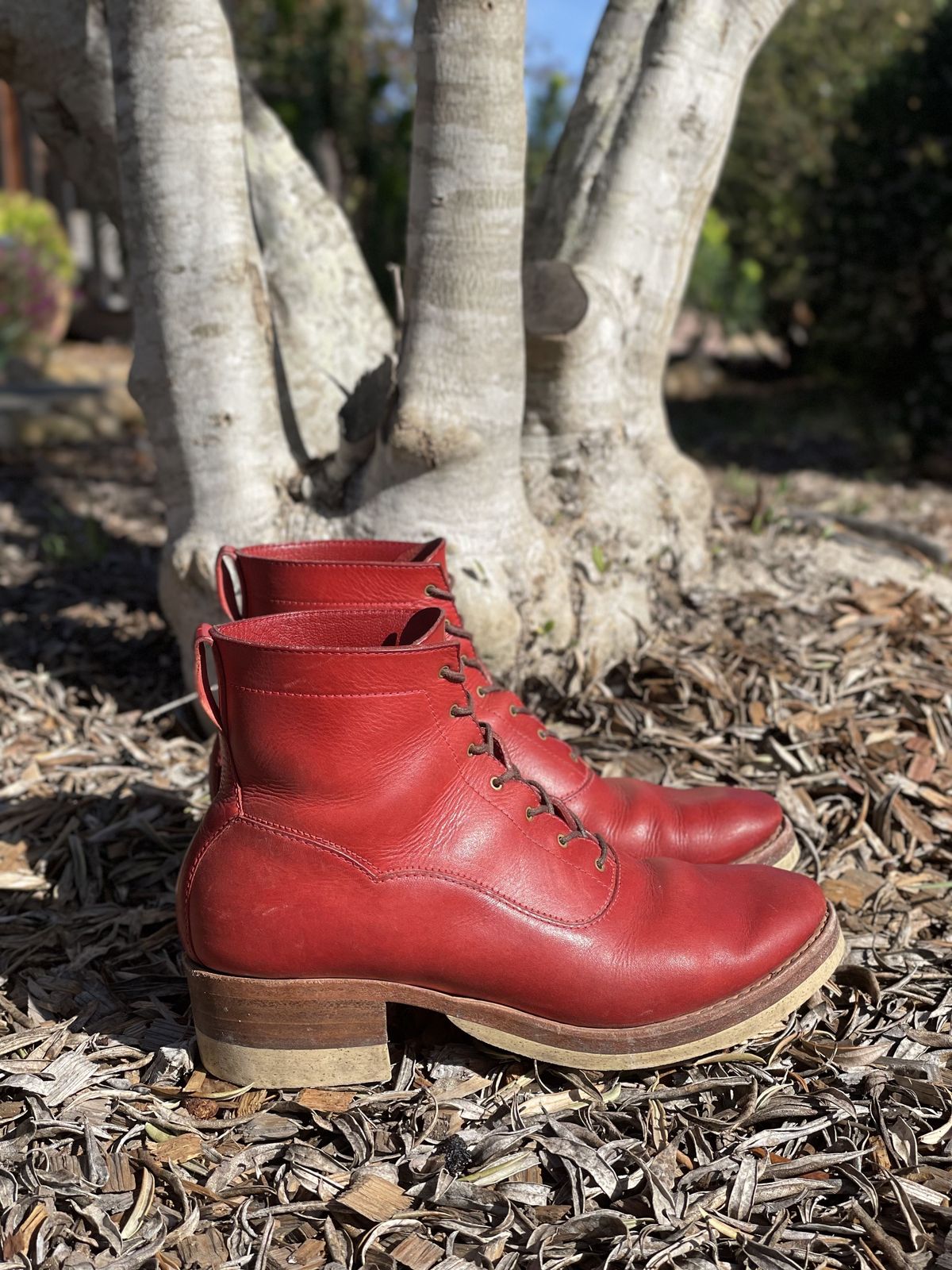Photo by patinathunderdome on February 1, 2022 of the Maya Miel Balmoral Boot in Badalassi Carlo Red Minerva.