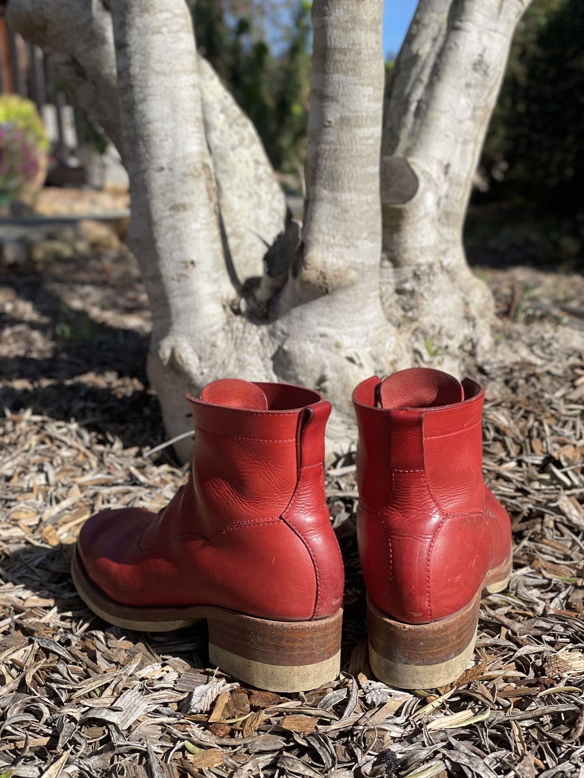 Photo by patinathunderdome on February 1, 2022 of the Maya Miel Balmoral Boot in Badalassi Carlo Red Minerva.