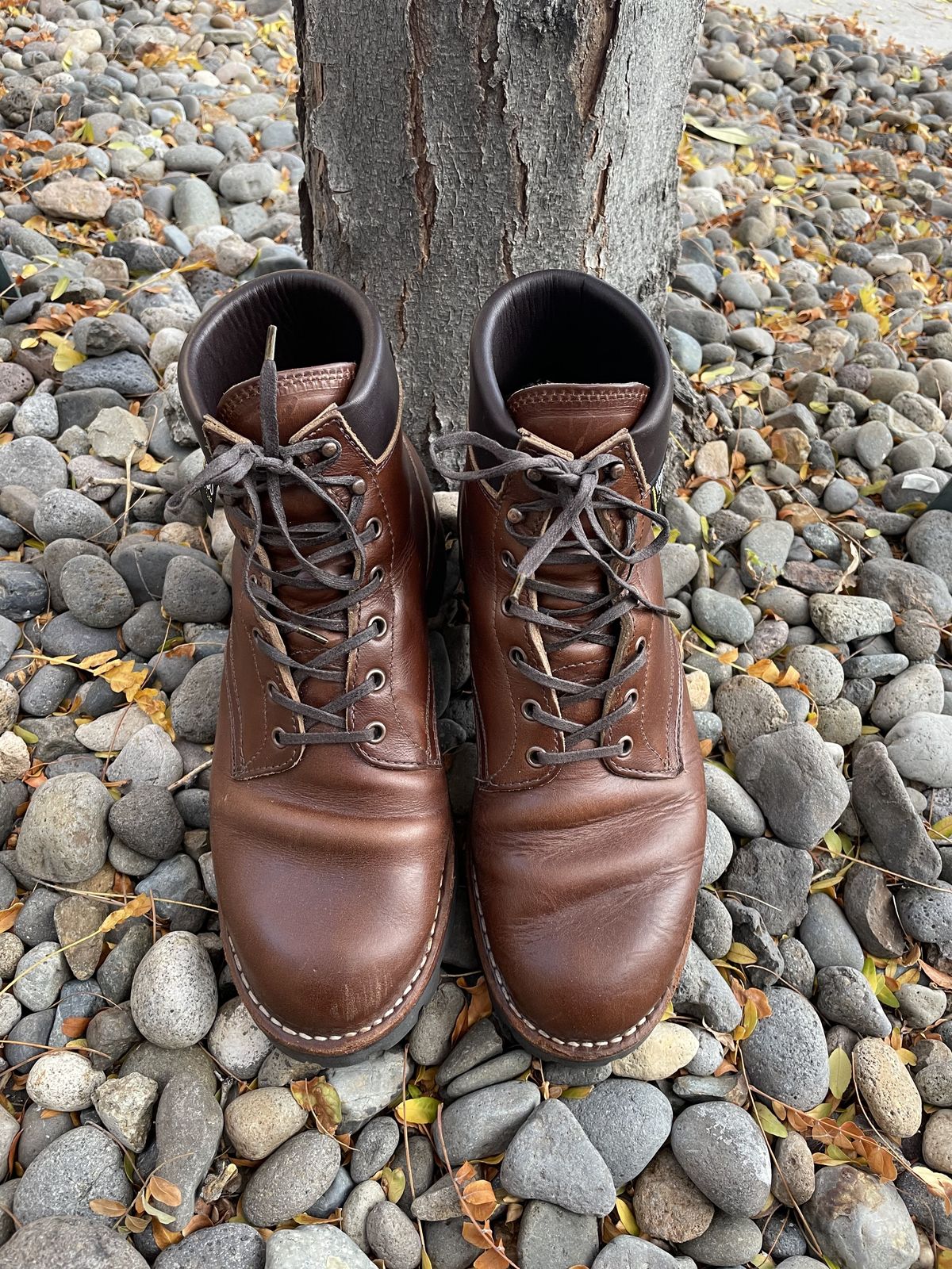 Photo by patinathunderdome on November 3, 2021 of the White's Hiker in Horween British Tan Chromexcel.
