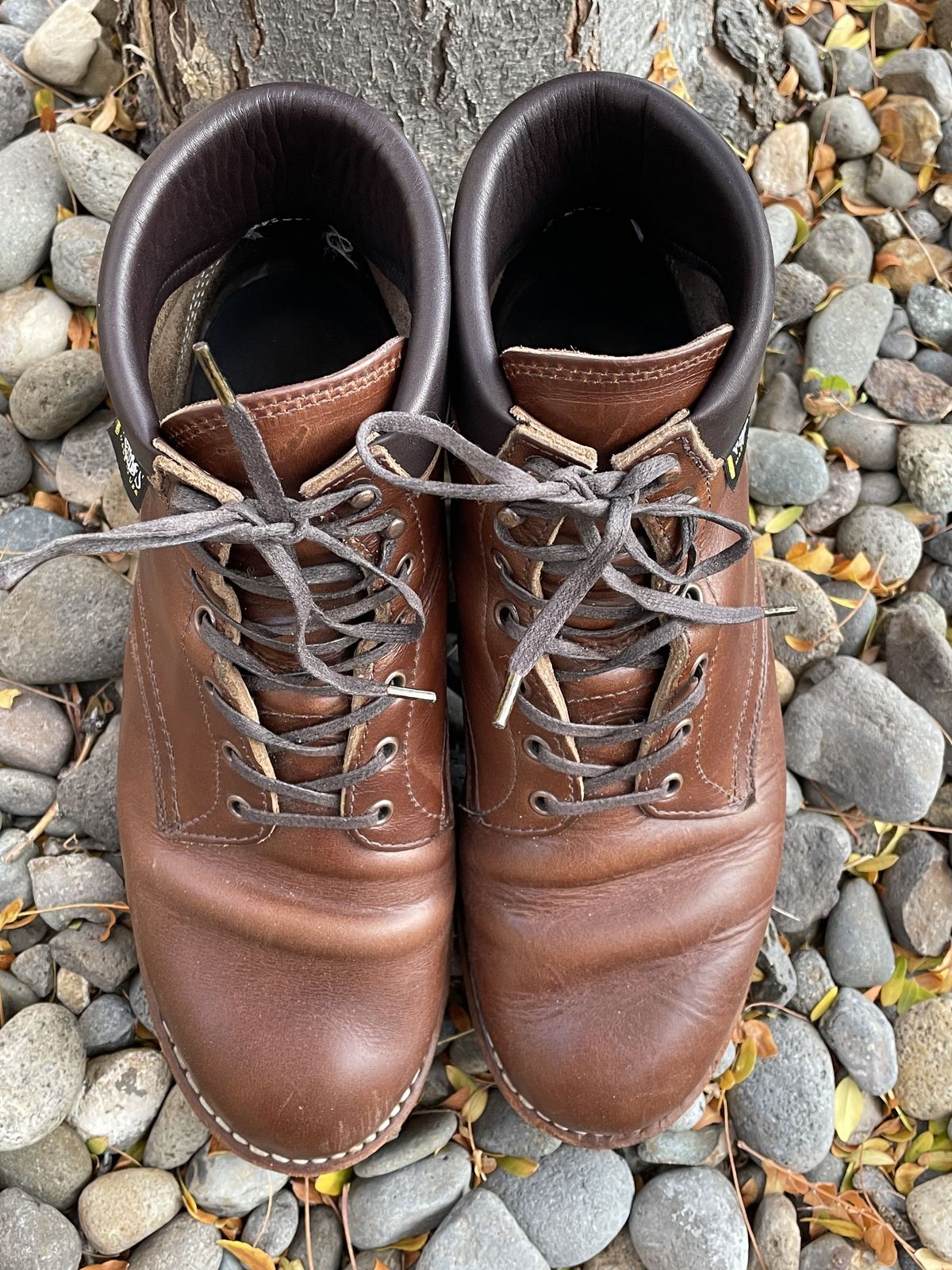 Photo by patinathunderdome on November 3, 2021 of the White's Hiker in Horween British Tan Chromexcel.