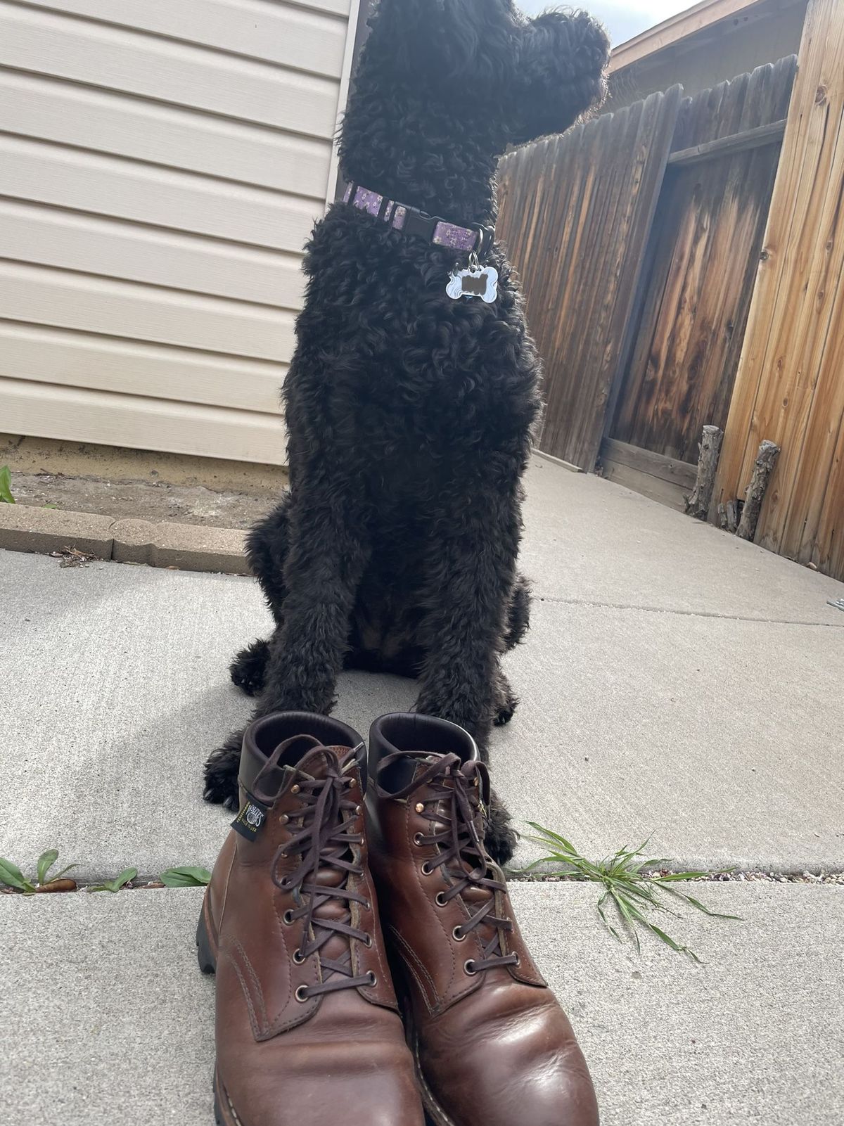 Photo by patinathunderdome on April 4, 2022 of the White's Hiker in Horween British Tan Chromexcel.