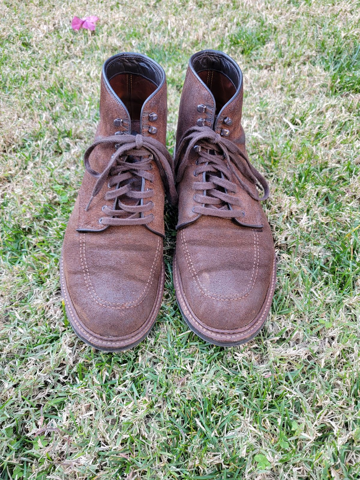 Photo by patinathunderdome on January 4, 2022 of the Alden Indy Boot in Horween Tobacco Chamois Roughout.