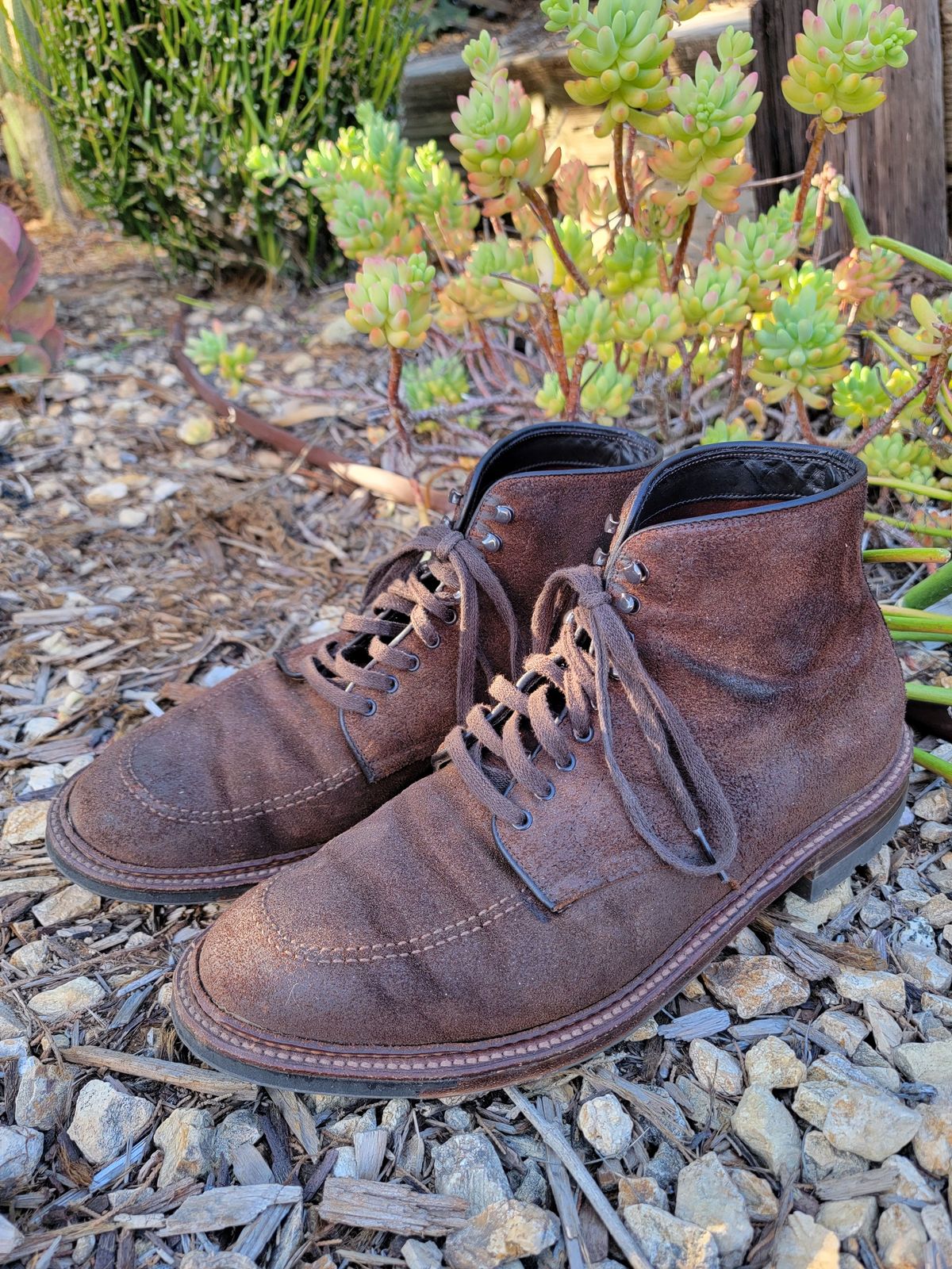 Photo by patinathunderdome on January 4, 2022 of the Alden Indy Boot in Horween Tobacco Chamois Roughout.