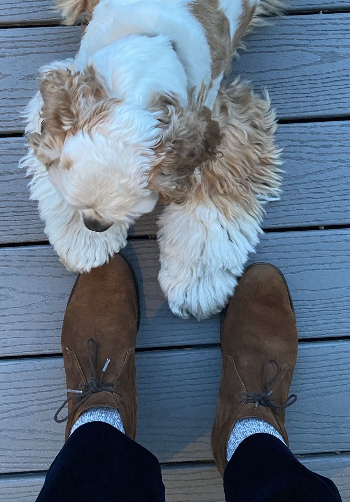 Photo by patinathunderdome on May 6, 2022 of the Cheaney Chukka Boot in Fox Suede.