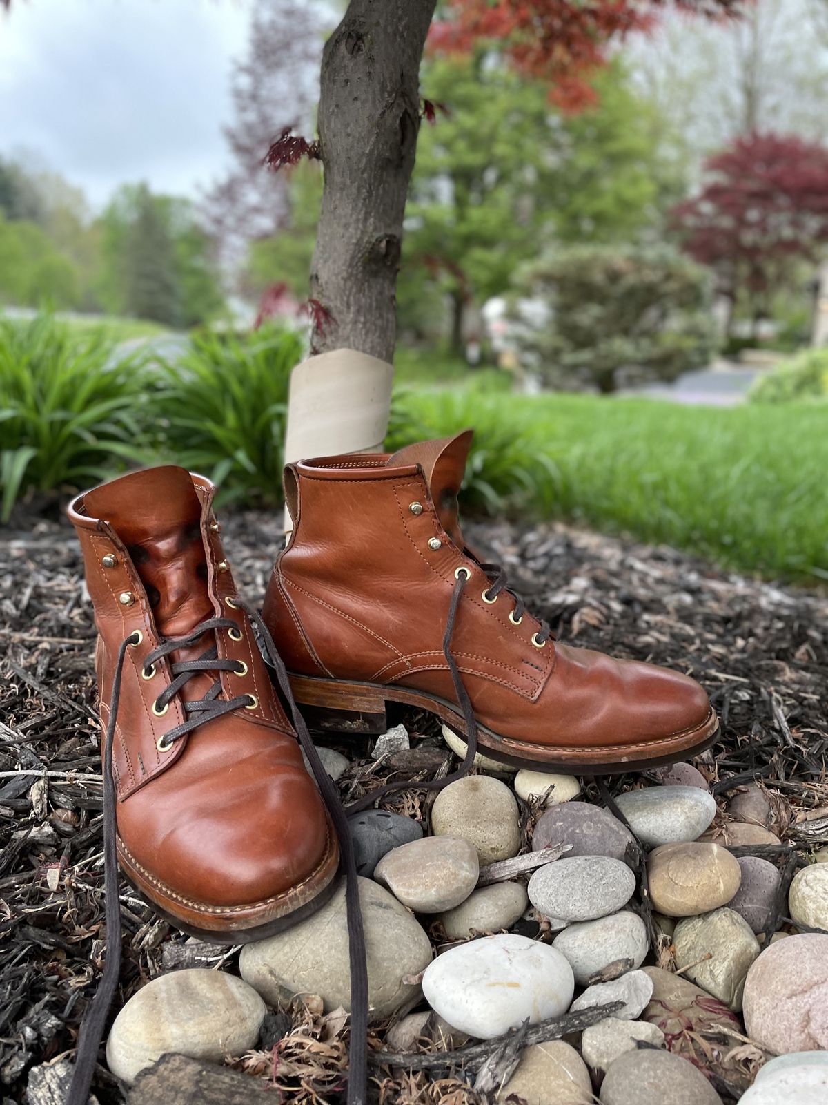 Photo by patinathunderdome on May 5, 2022 of the White Kloud Blucher.87 in Badalassi Carlo Cognac Minerva.