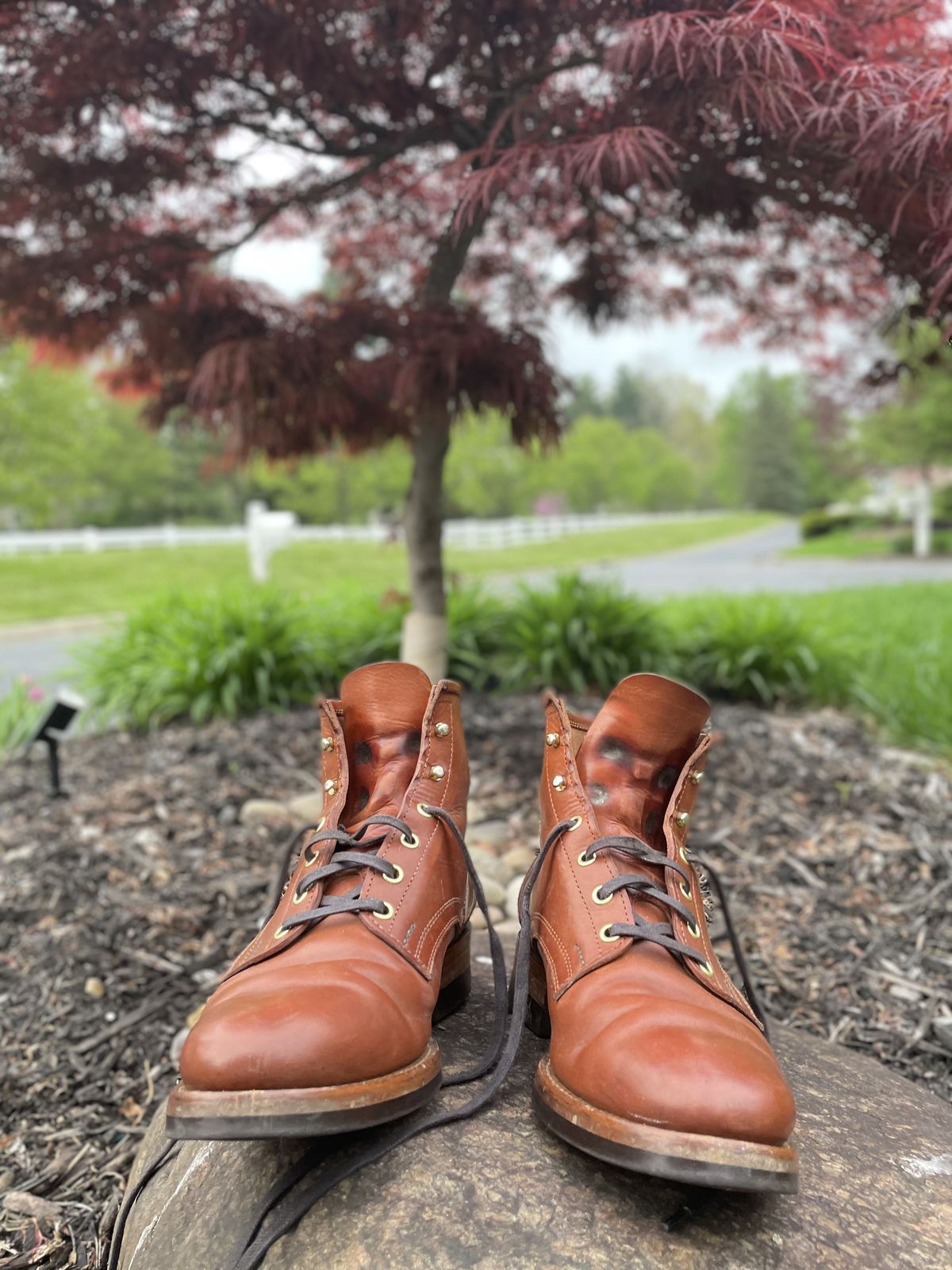 Photo by patinathunderdome on May 5, 2022 of the White Kloud Blucher.87 in Badalassi Carlo Cognac Minerva.