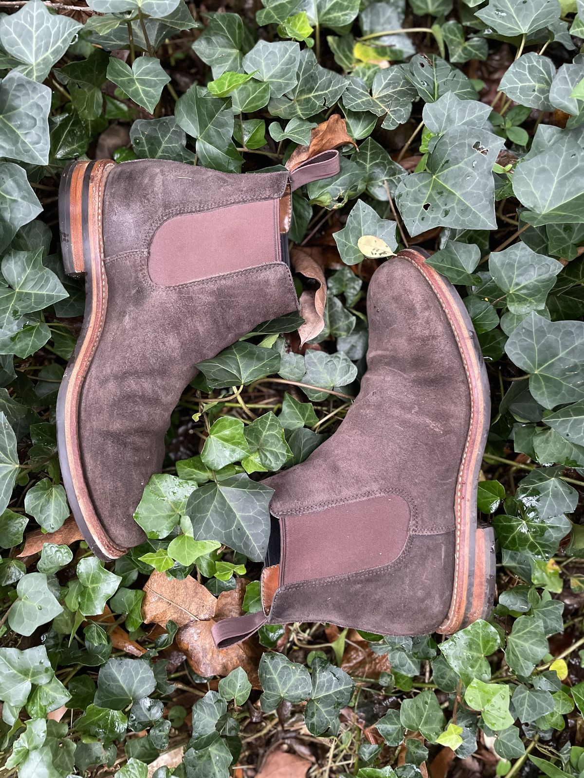 Photo by patinathunderdome on January 5, 2022 of the Grant Stone Chelsea Boot in C.F. Stead Earth Waxy Commander Suede.