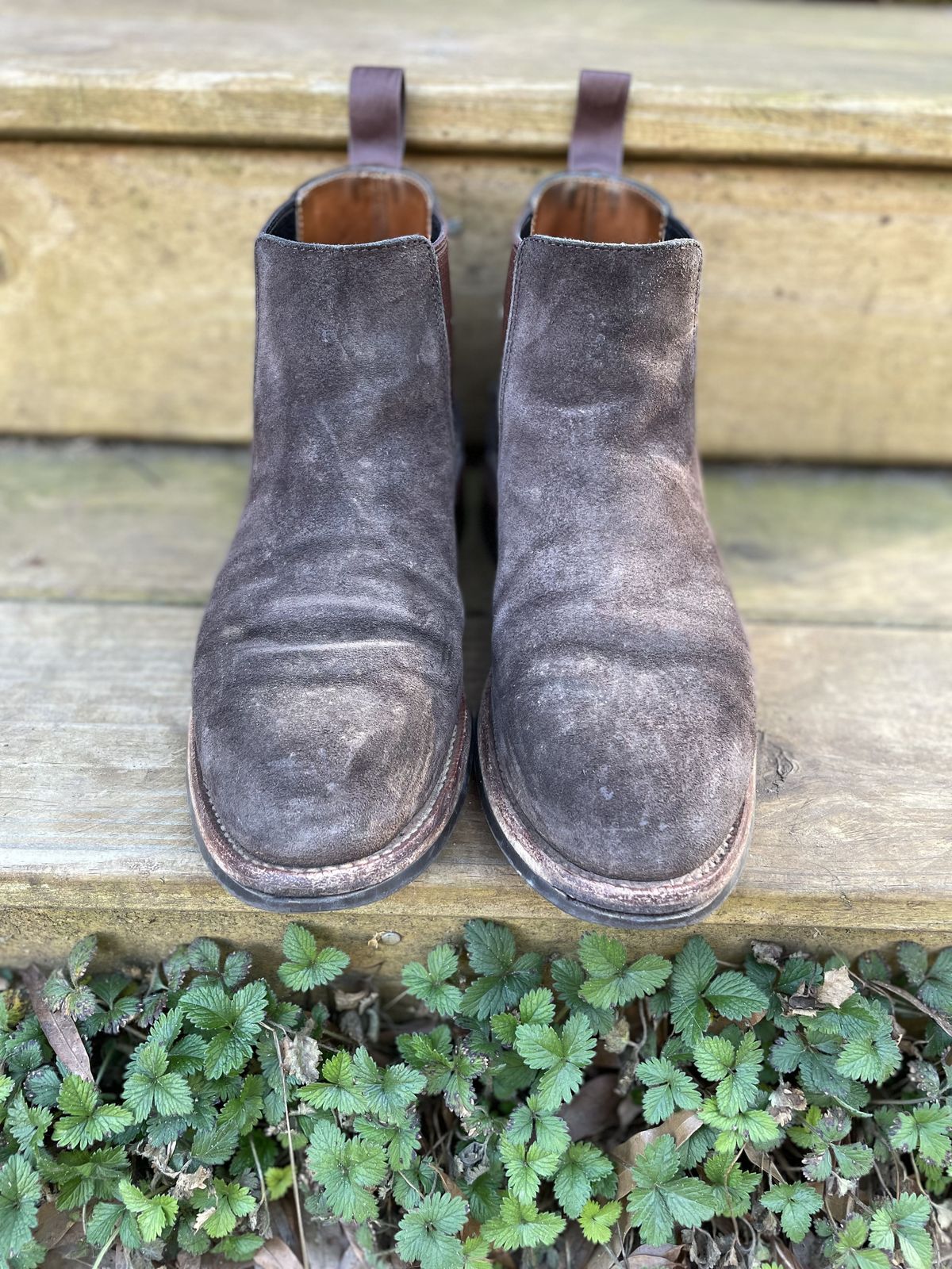 Photo by patinathunderdome on March 2, 2022 of the Grant Stone Chelsea Boot in C.F. Stead Earth Waxy Commander Suede.