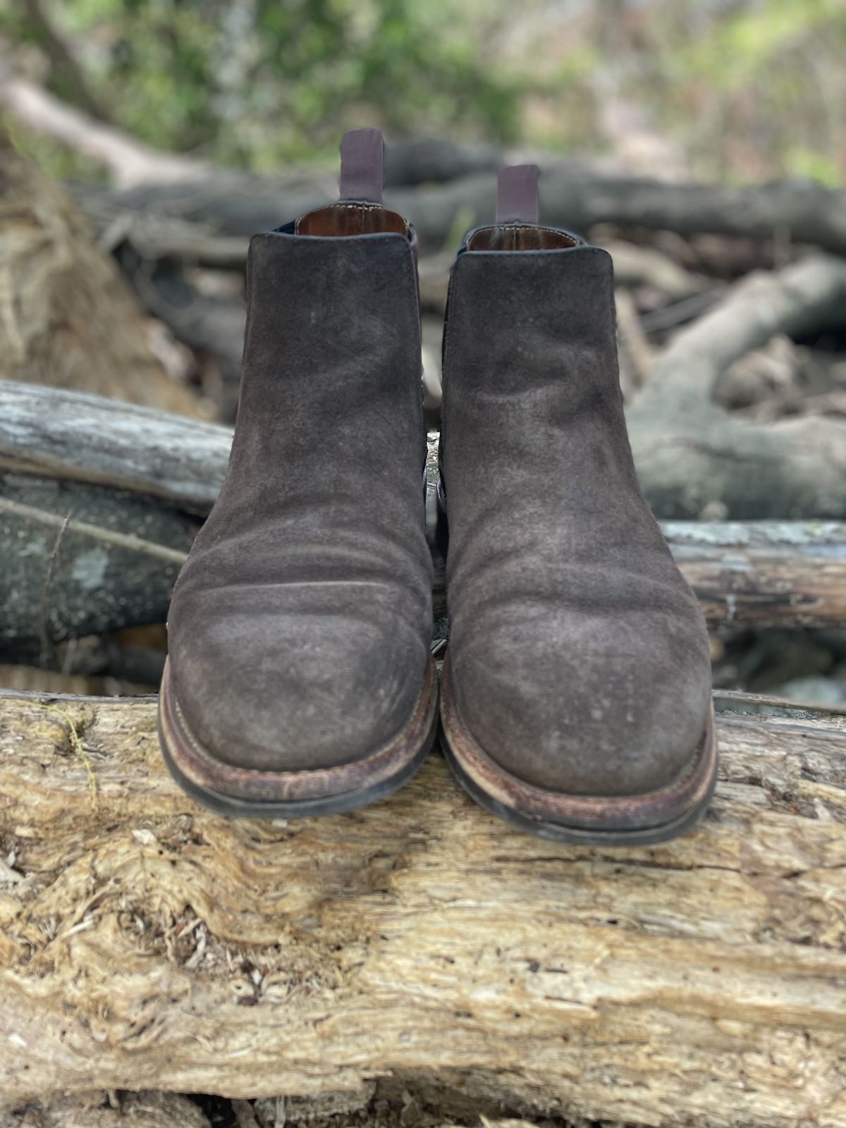 Photo by patinathunderdome on April 3, 2022 of the Grant Stone Chelsea Boot in C.F. Stead Earth Waxy Commander Suede.