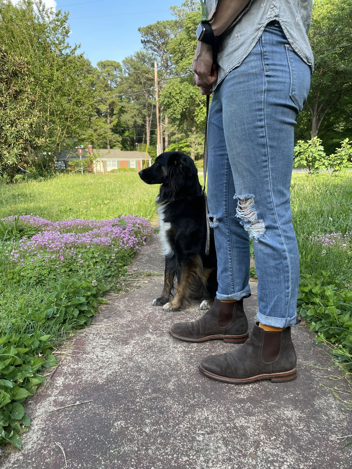 Photo by patinathunderdome on May 5, 2022 of the Grant Stone Chelsea Boot in C.F. Stead Earth Waxy Commander Suede.