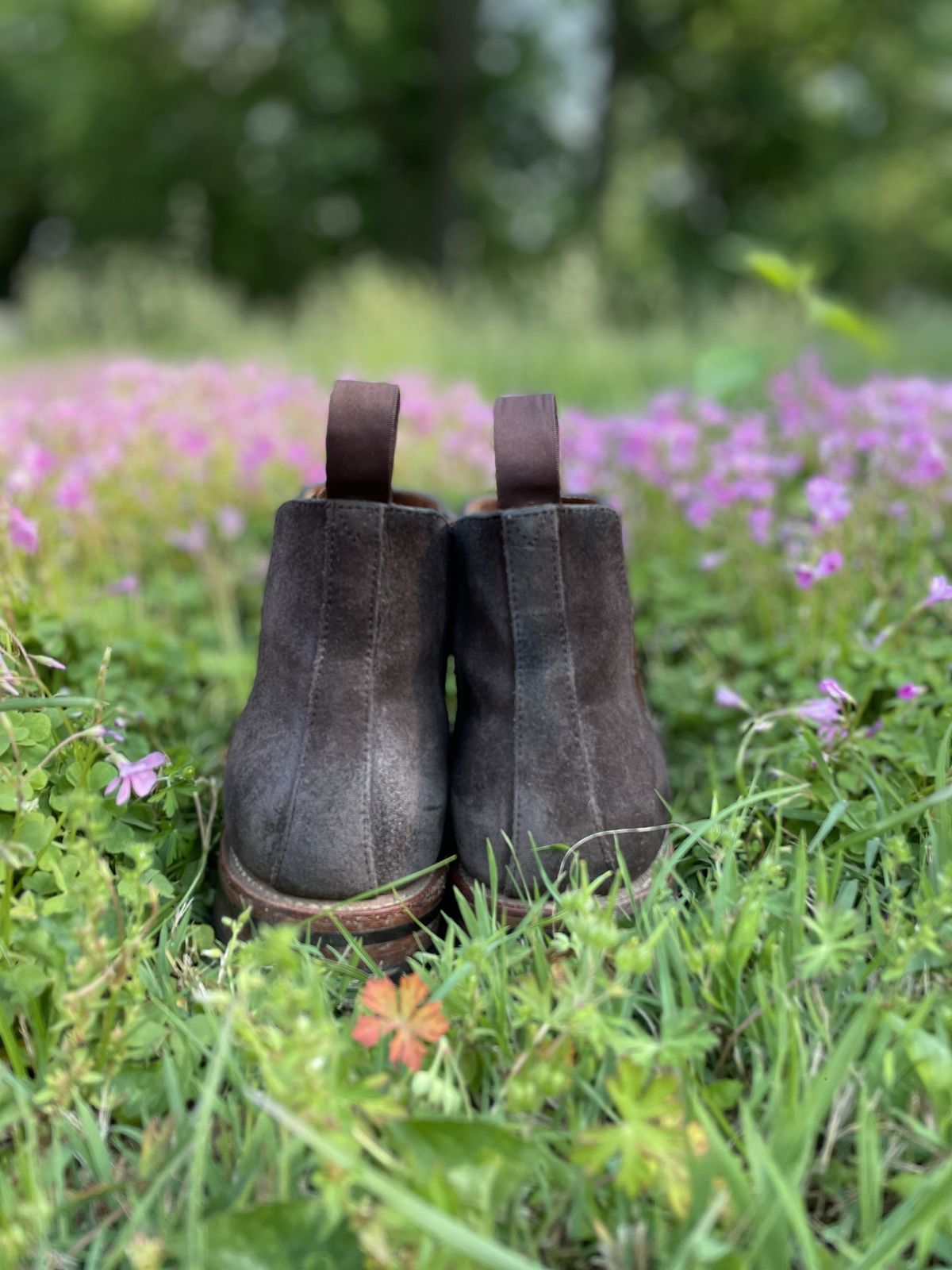 Photo by patinathunderdome on May 5, 2022 of the Grant Stone Chelsea Boot in C.F. Stead Earth Waxy Commander Suede.