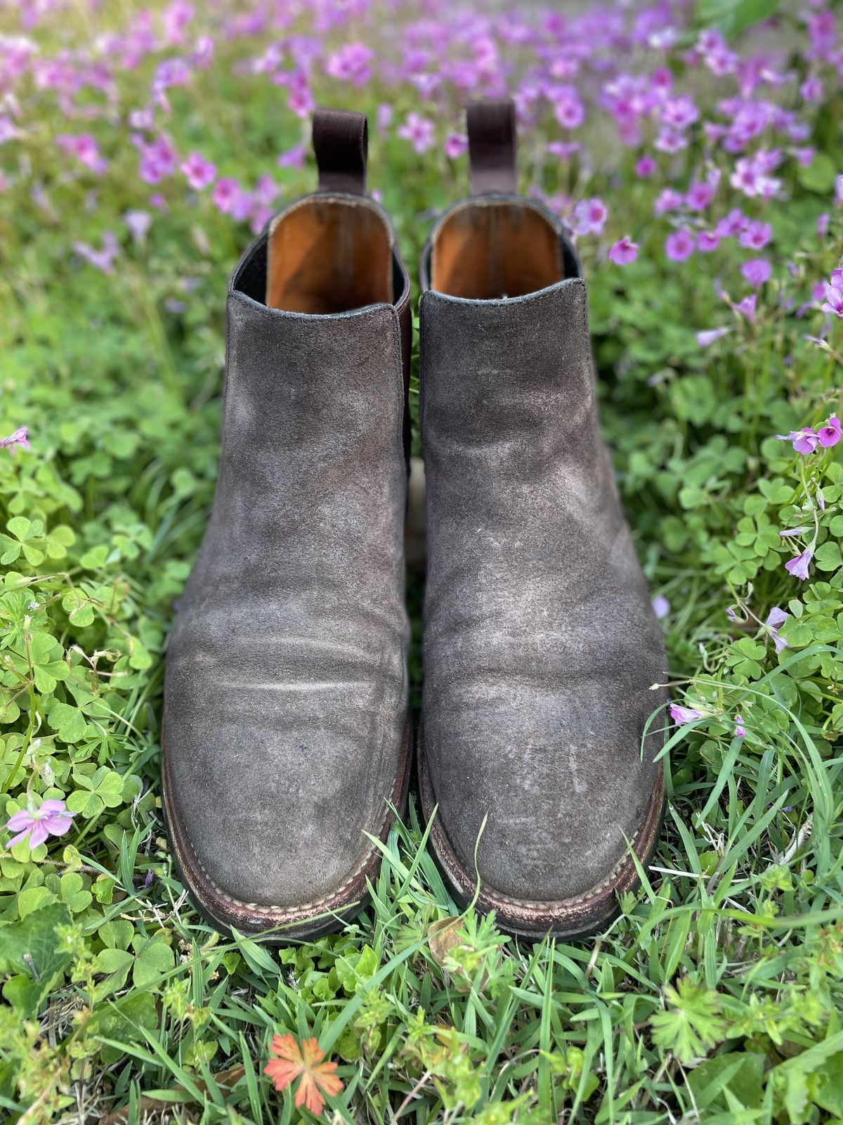 Photo by patinathunderdome on May 5, 2022 of the Grant Stone Chelsea Boot in C.F. Stead Earth Waxy Commander Suede.