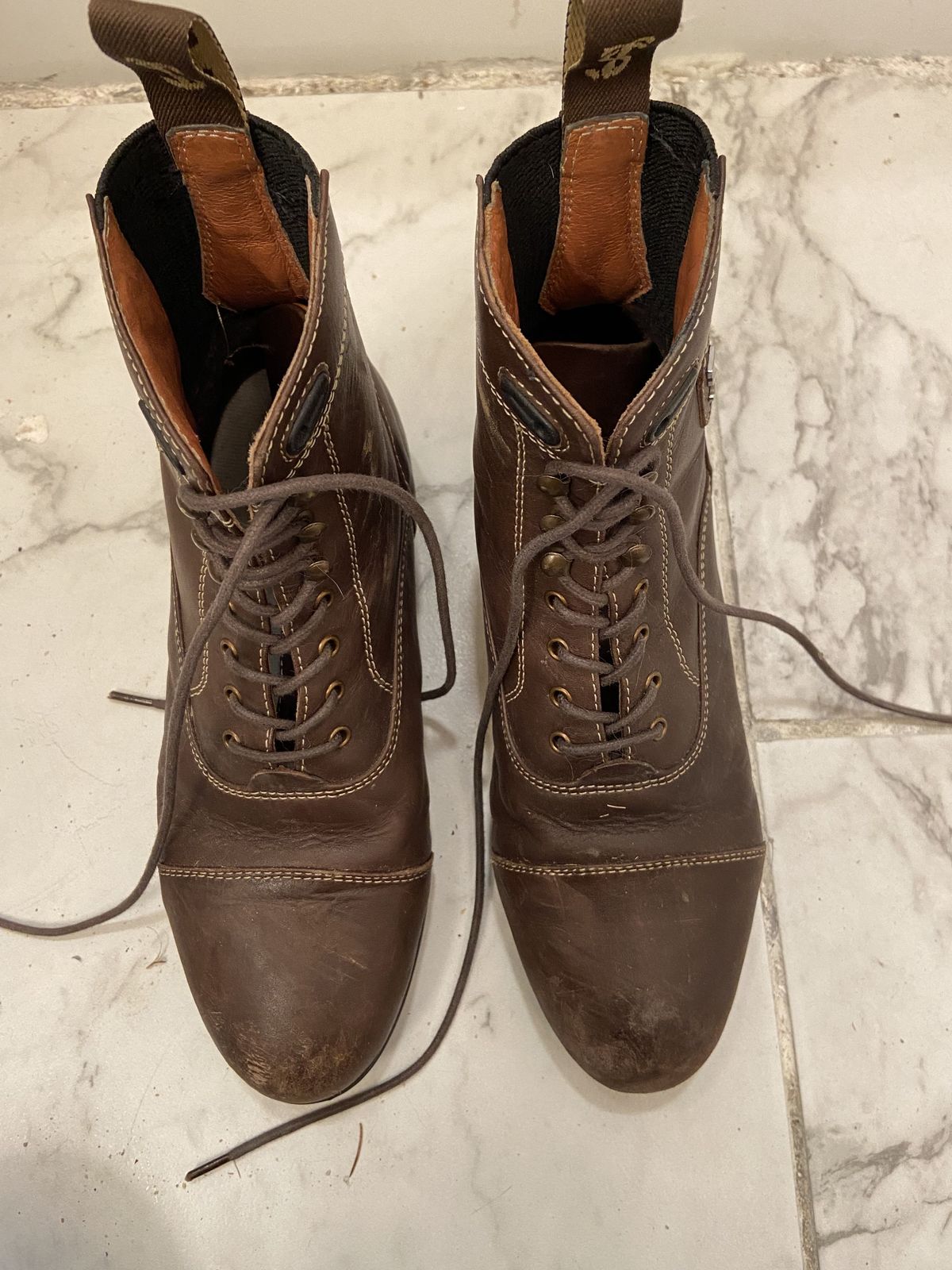 Photo by patinathunderdome on December 6, 2021 of the Tredstep Donatello Paddock Boots Front Lace in Brown Full Grain.
