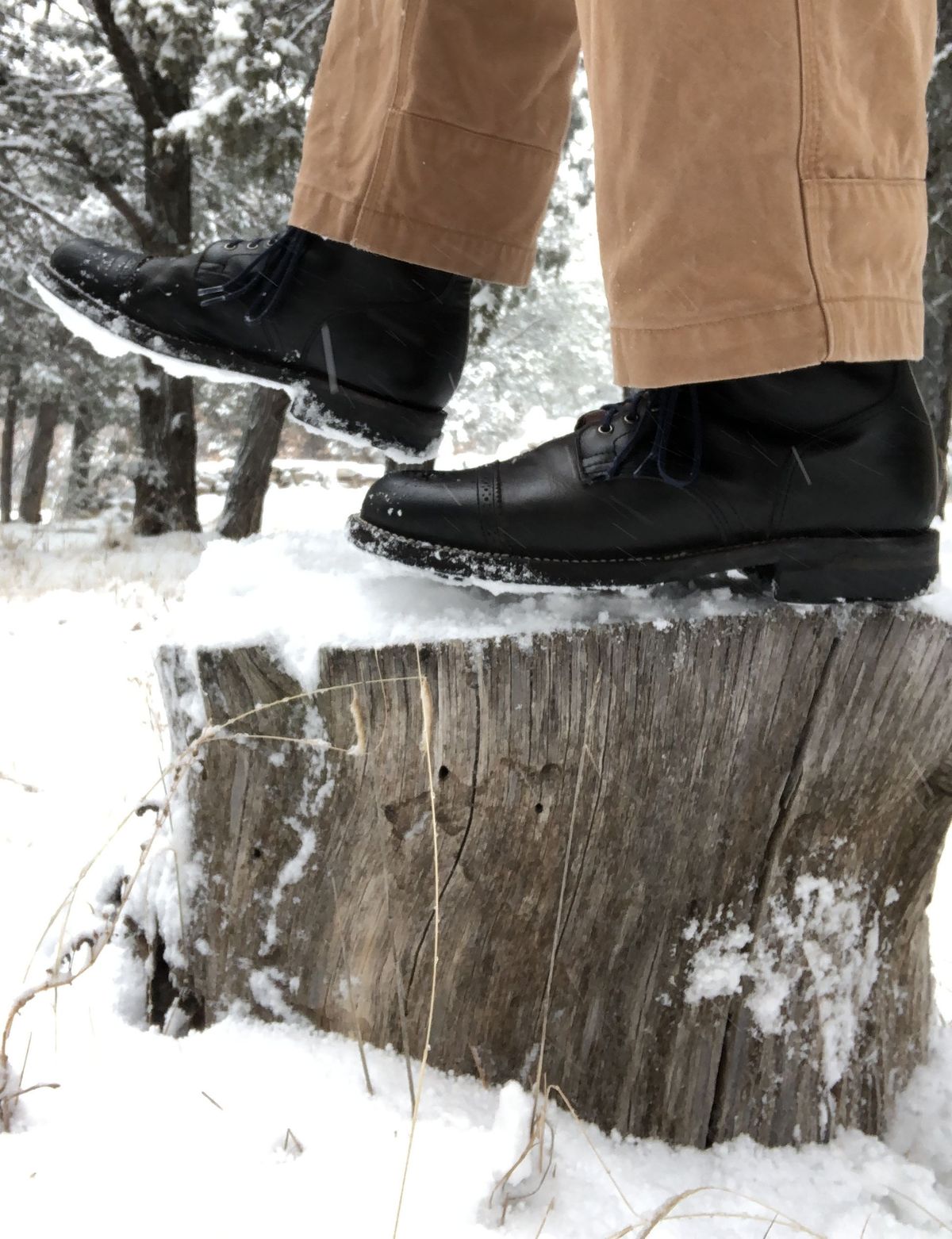 Photo by patinathunderdome on January 1, 2022 of the Viberg Service Boot in Maryam Noir Vitello Calf.