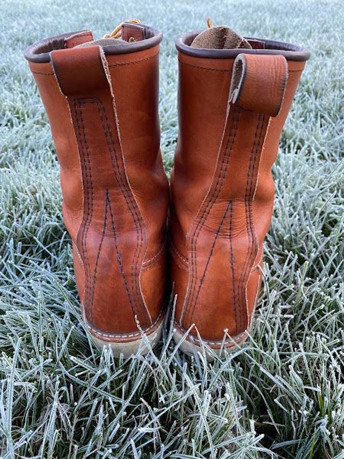 Photo by patinathunderdome on November 5, 2021 of the Red Wing 8-Inch Classic Moc in S.B. Foot Oro-Iginal.