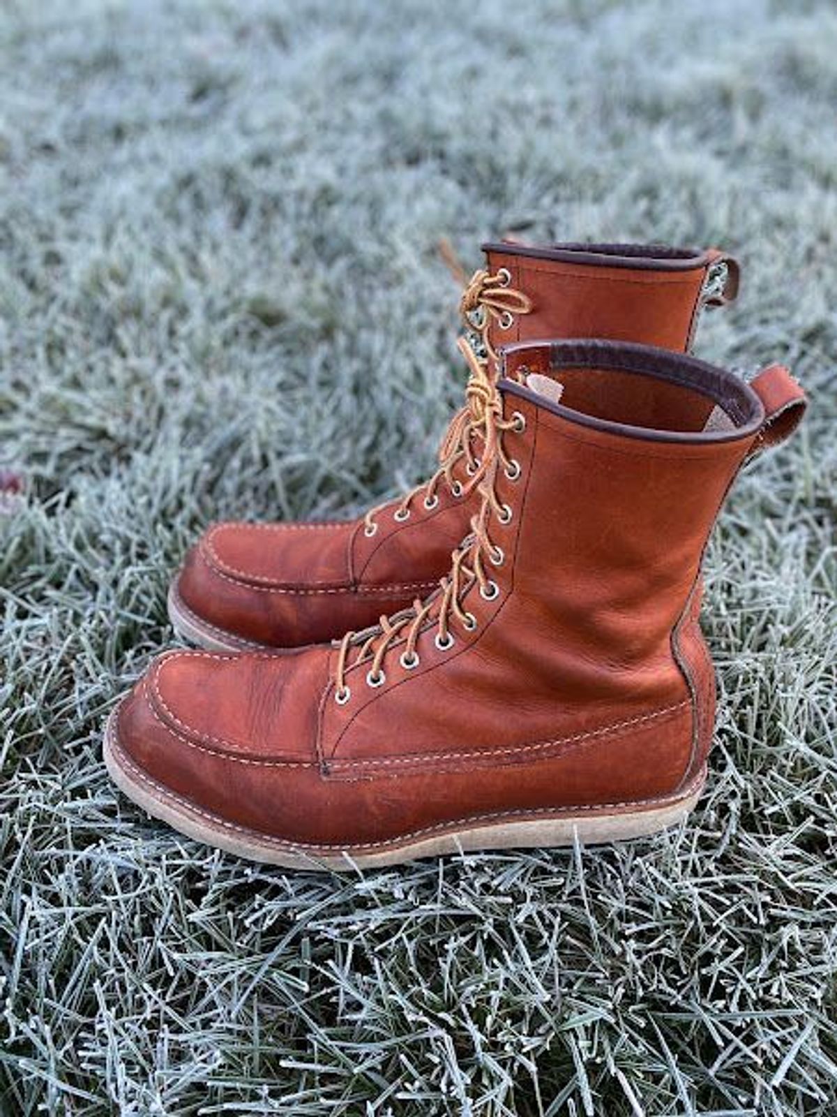 Photo by patinathunderdome on November 5, 2021 of the Red Wing 8-Inch Classic Moc in S.B. Foot Oro-Iginal.