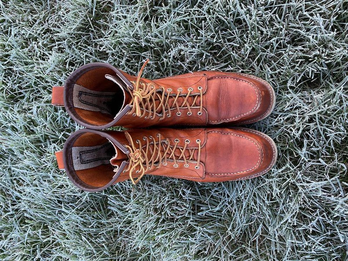 Photo by patinathunderdome on November 5, 2021 of the Red Wing 8-Inch Classic Moc in S.B. Foot Oro-Iginal.