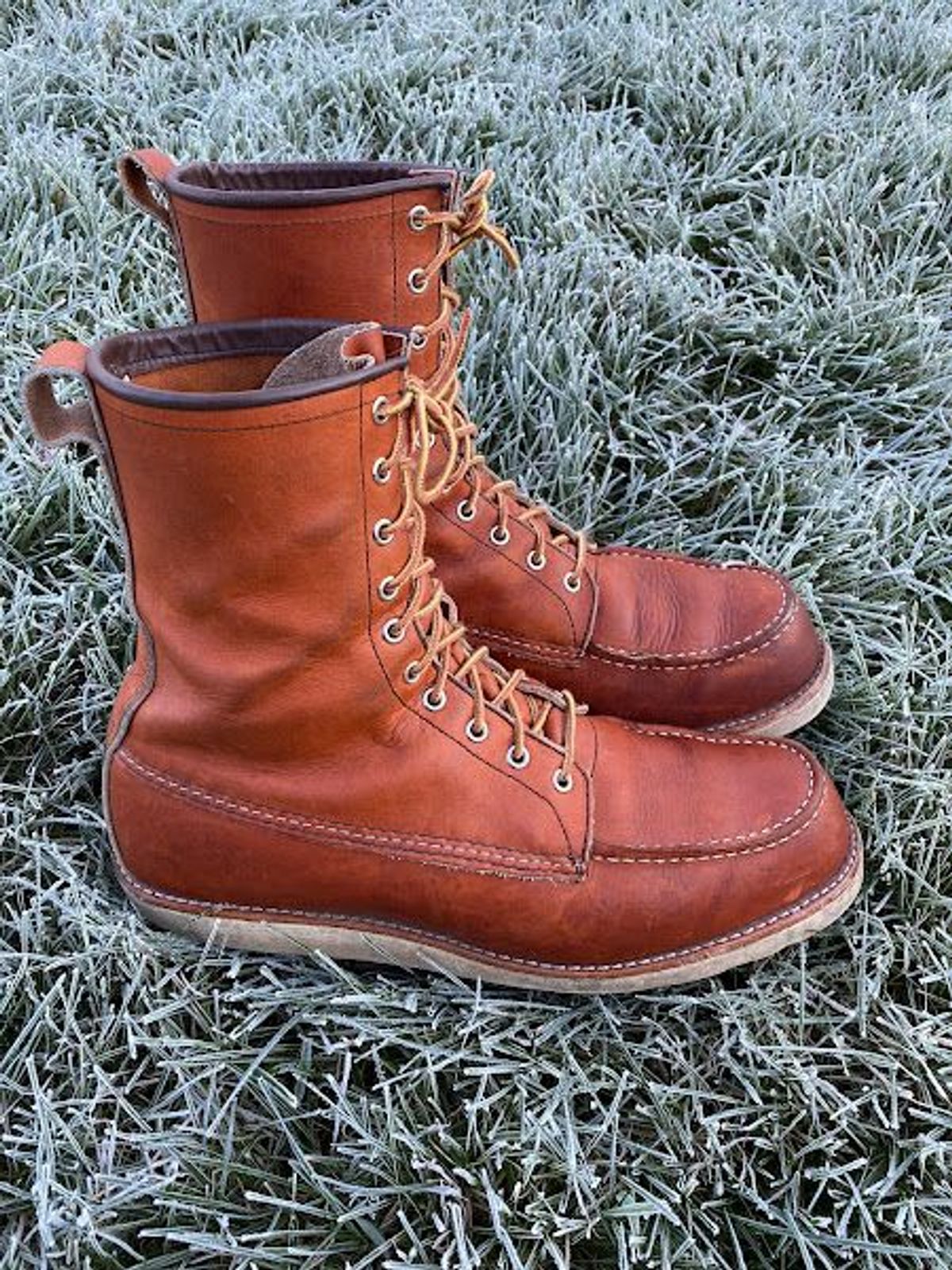Photo by patinathunderdome on November 5, 2021 of the Red Wing 8-Inch Classic Moc in S.B. Foot Oro-Iginal.