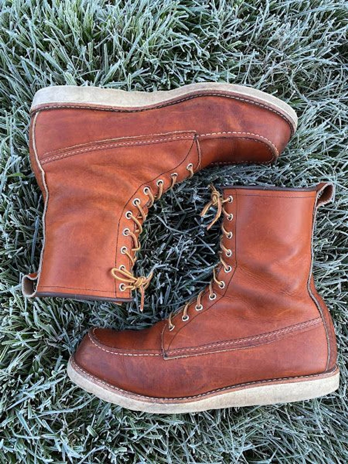 Photo by patinathunderdome on November 5, 2021 of the Red Wing 8-Inch Classic Moc in S.B. Foot Oro-Iginal.