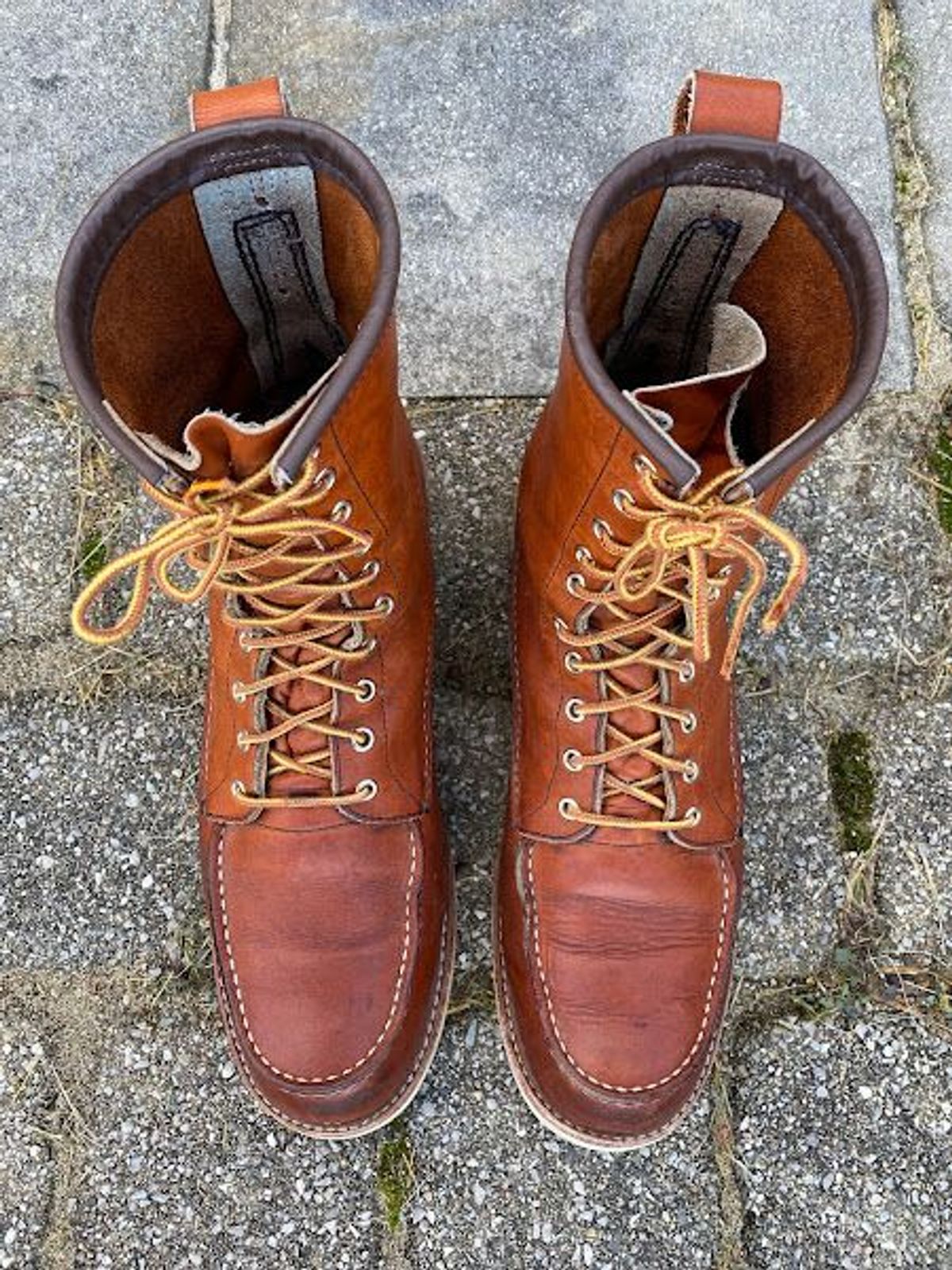 Photo by patinathunderdome on December 4, 2021 of the Red Wing 8-Inch Classic Moc in S.B. Foot Oro-Iginal.